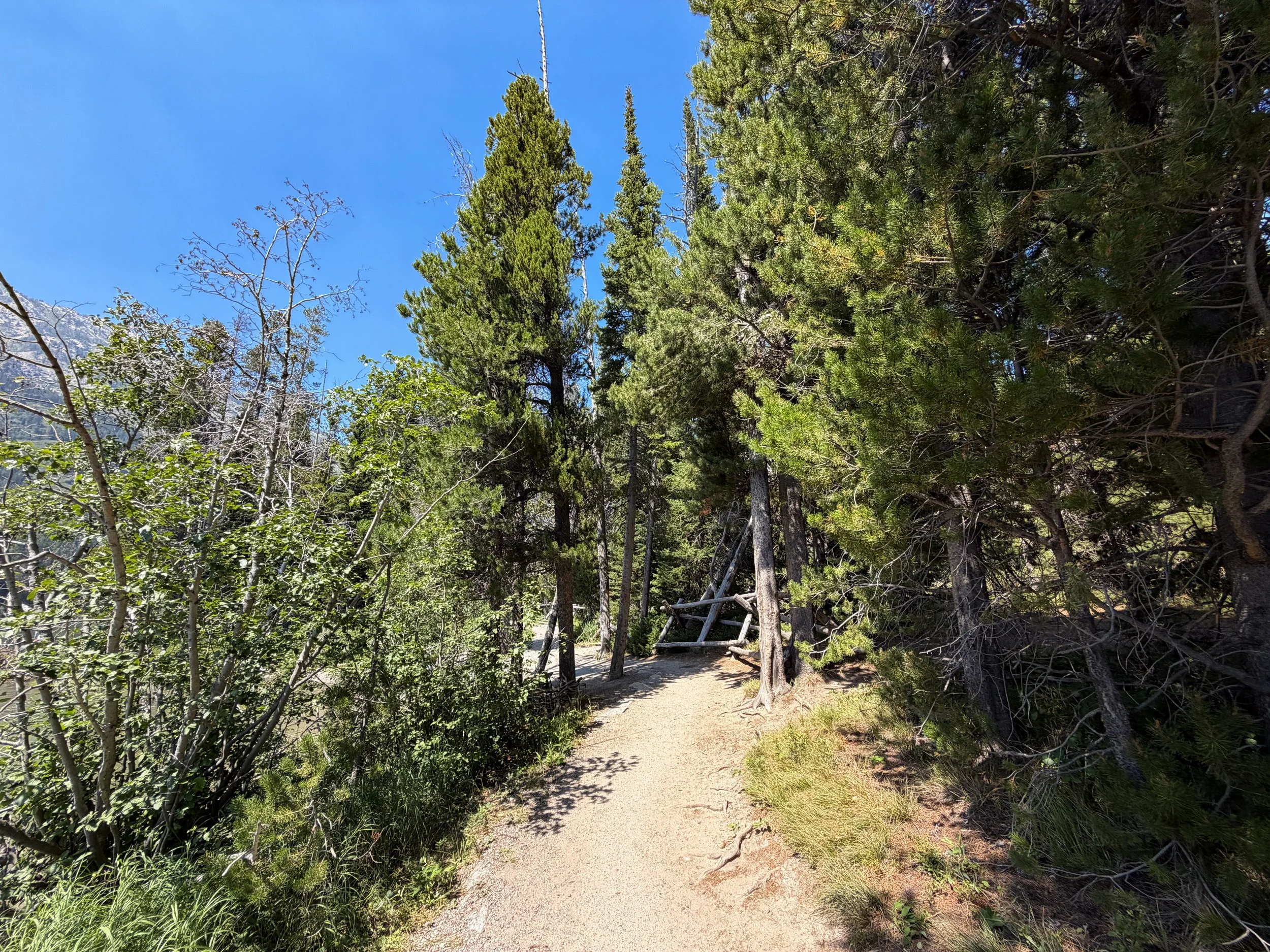 String Lake Loop Trail Grand Teton National Park Wyoming