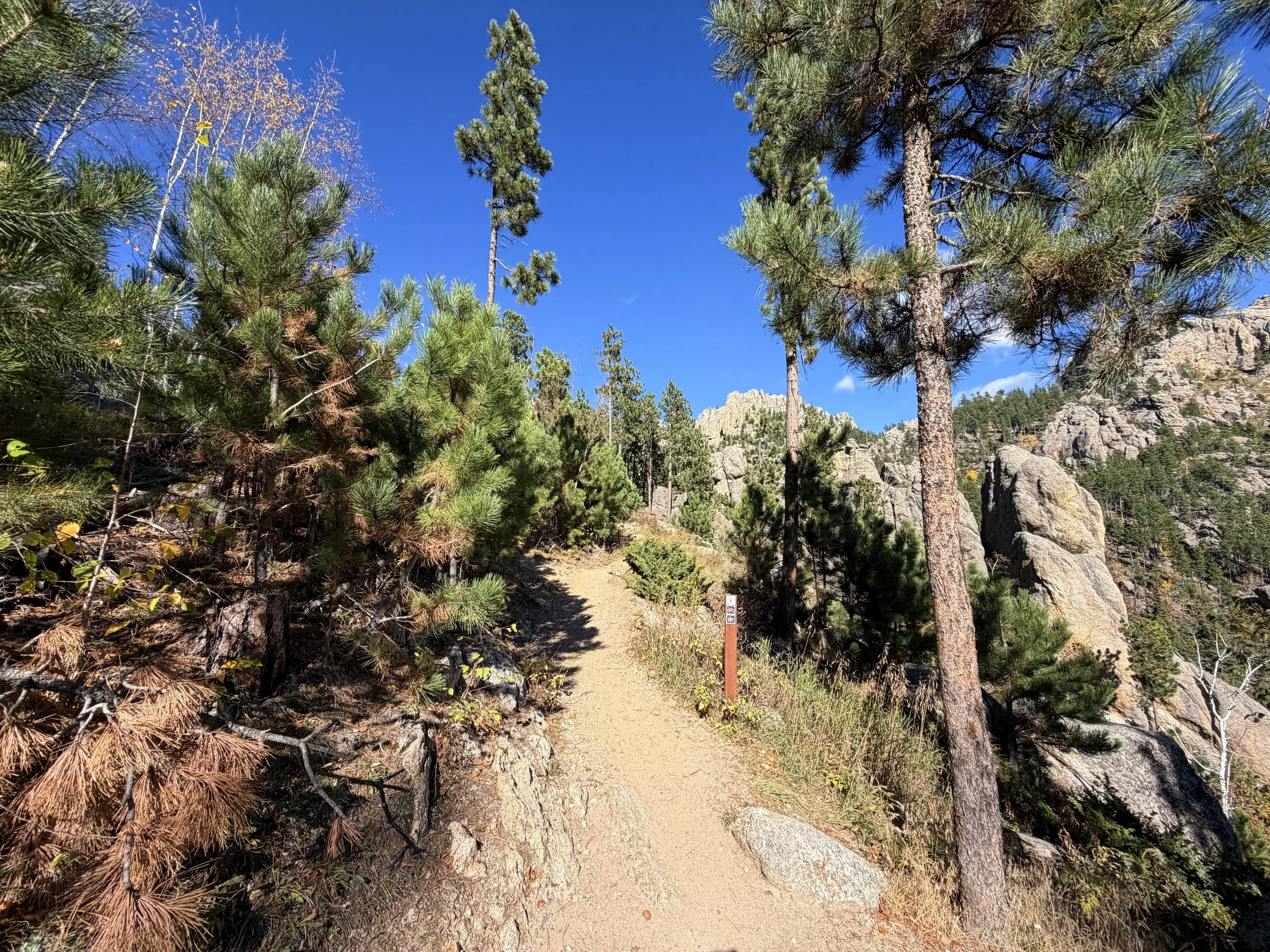 Cathedral Spires Trail Custer State Park Black Hills South Dakota