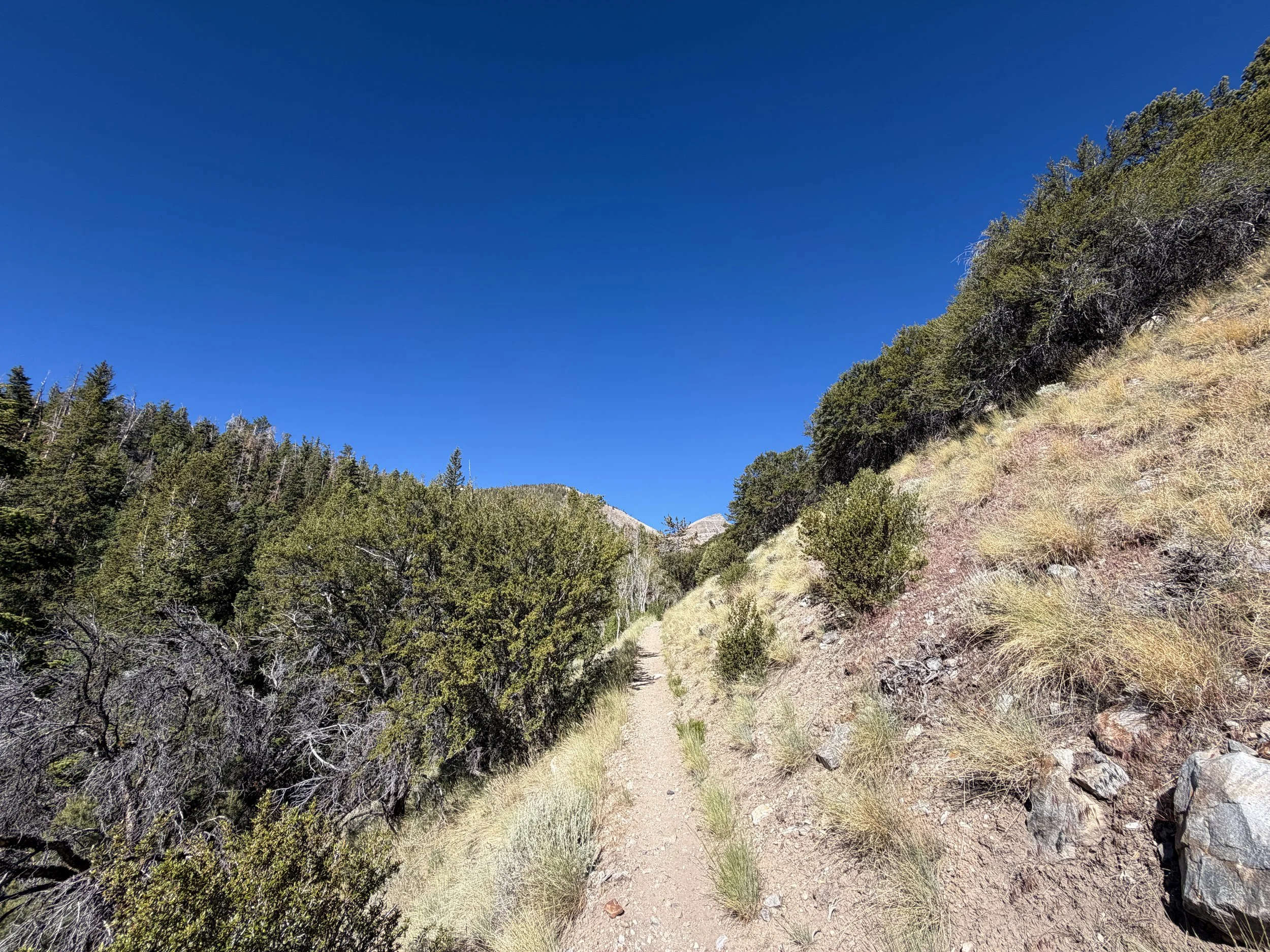 Baker Lake Trail Great Basin National Park Nevada