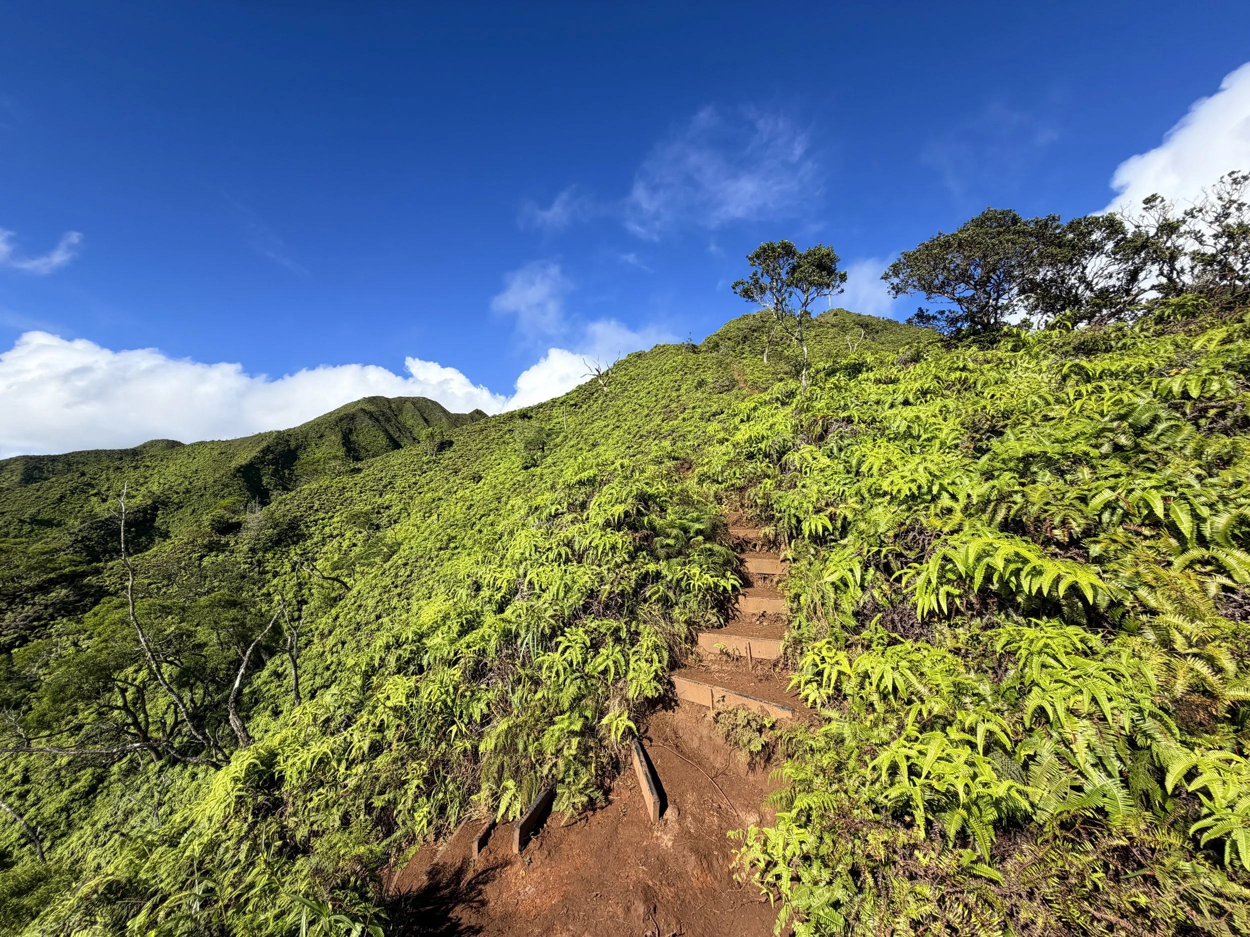 Wiliwilinui Ridge Hike Oahu Hawaii