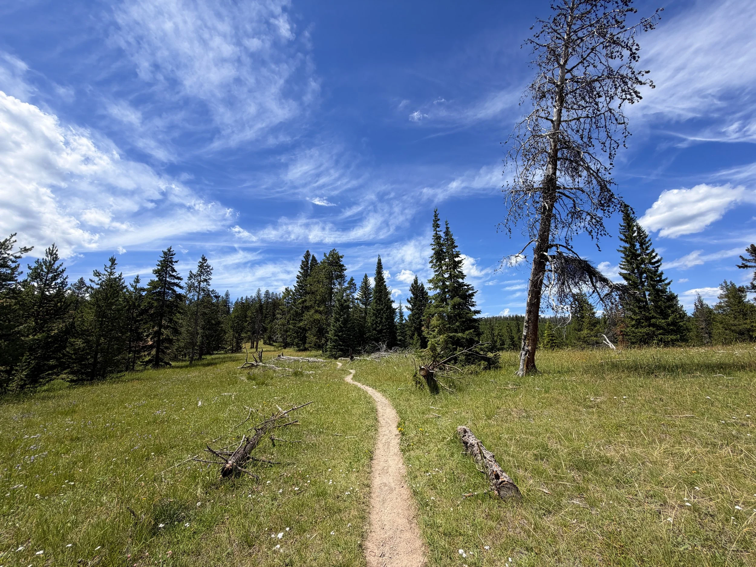 West Thumb Overlook Trail Yellowstone National Park Wyoming