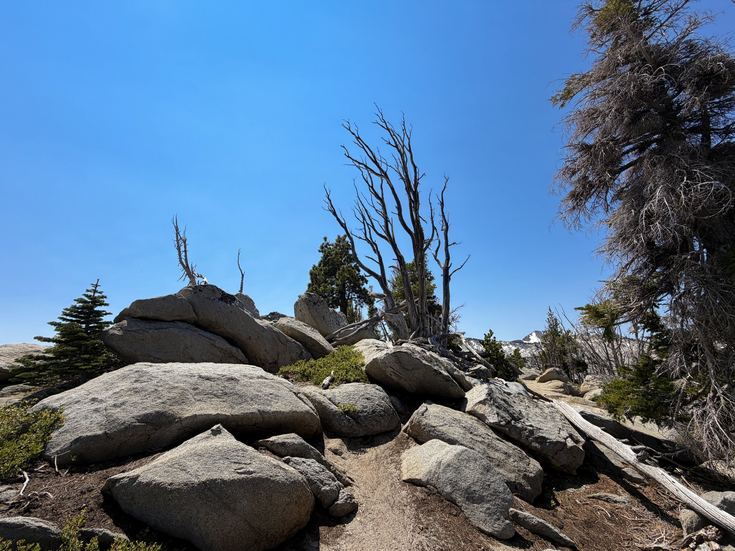 Maggies Peak Trail Lake Tahoe California