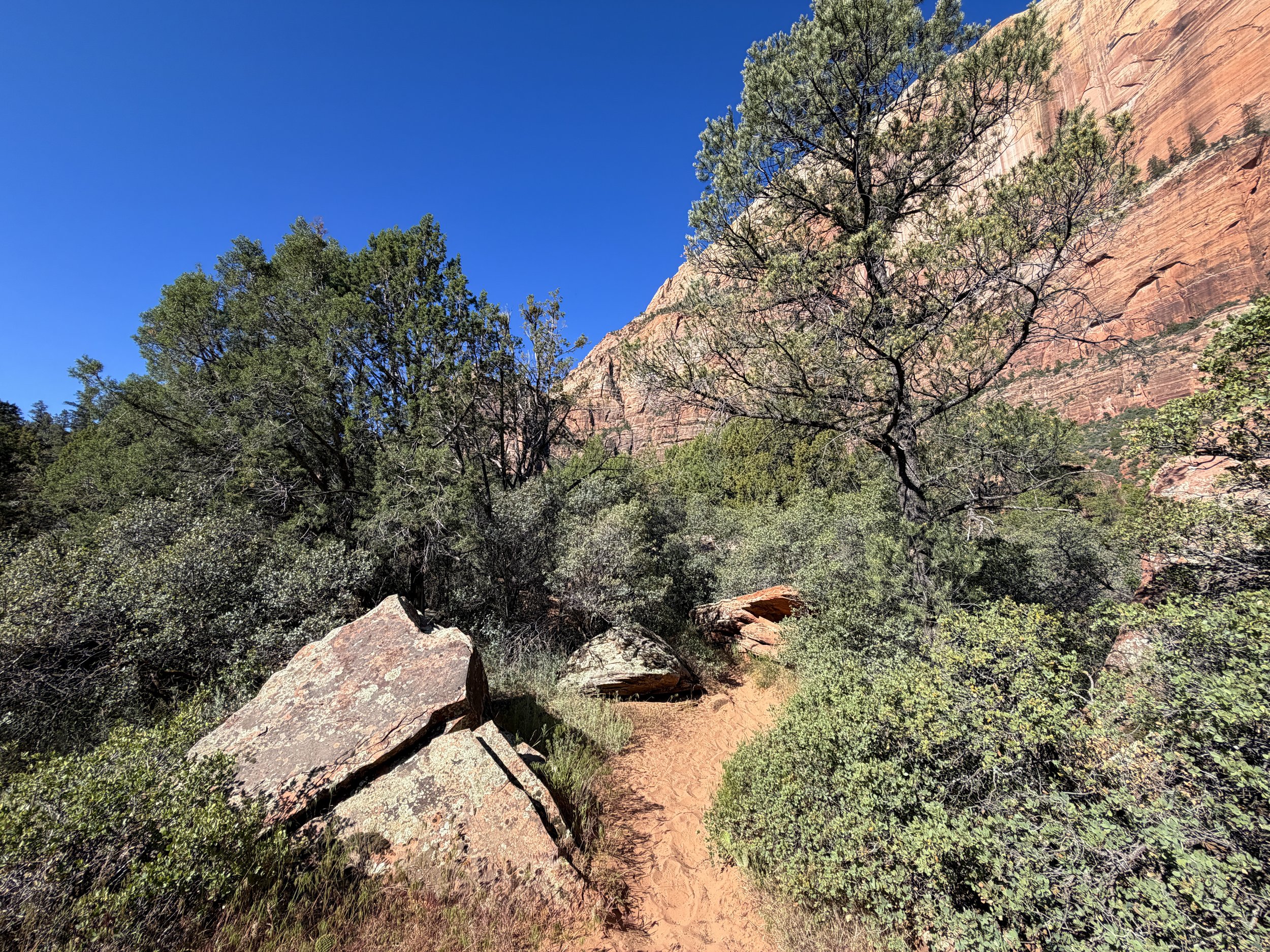 Sand Bench Loop Hike Zion National Park Utah