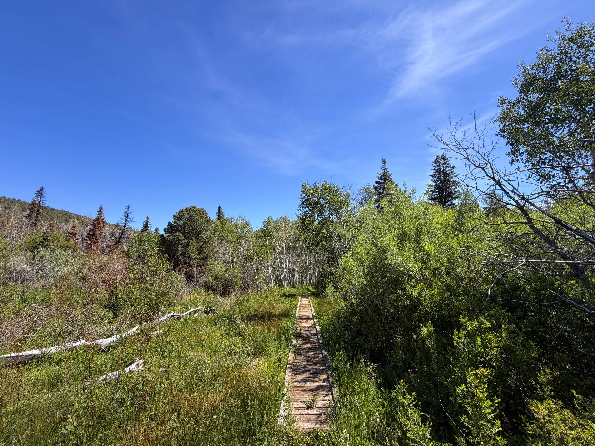 Pole Canyon Trail Great Basin National Park Nevada