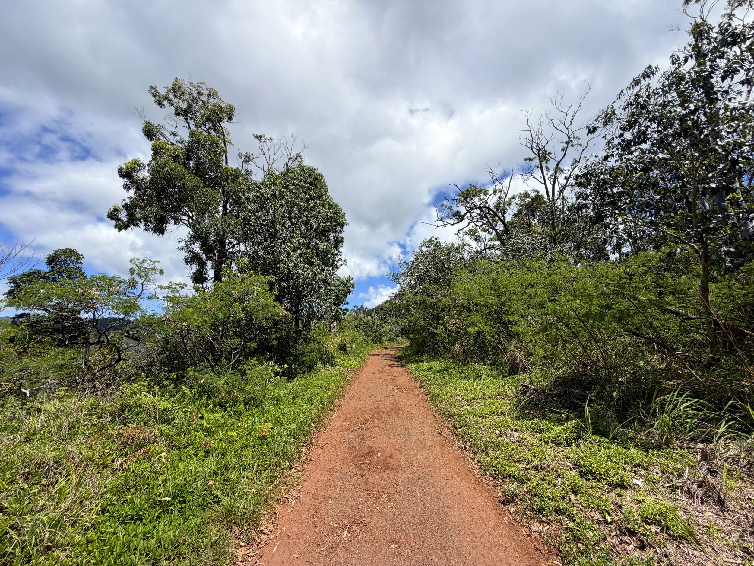Manana Ridge Trail to Waimano Pools Oahu Hawaii