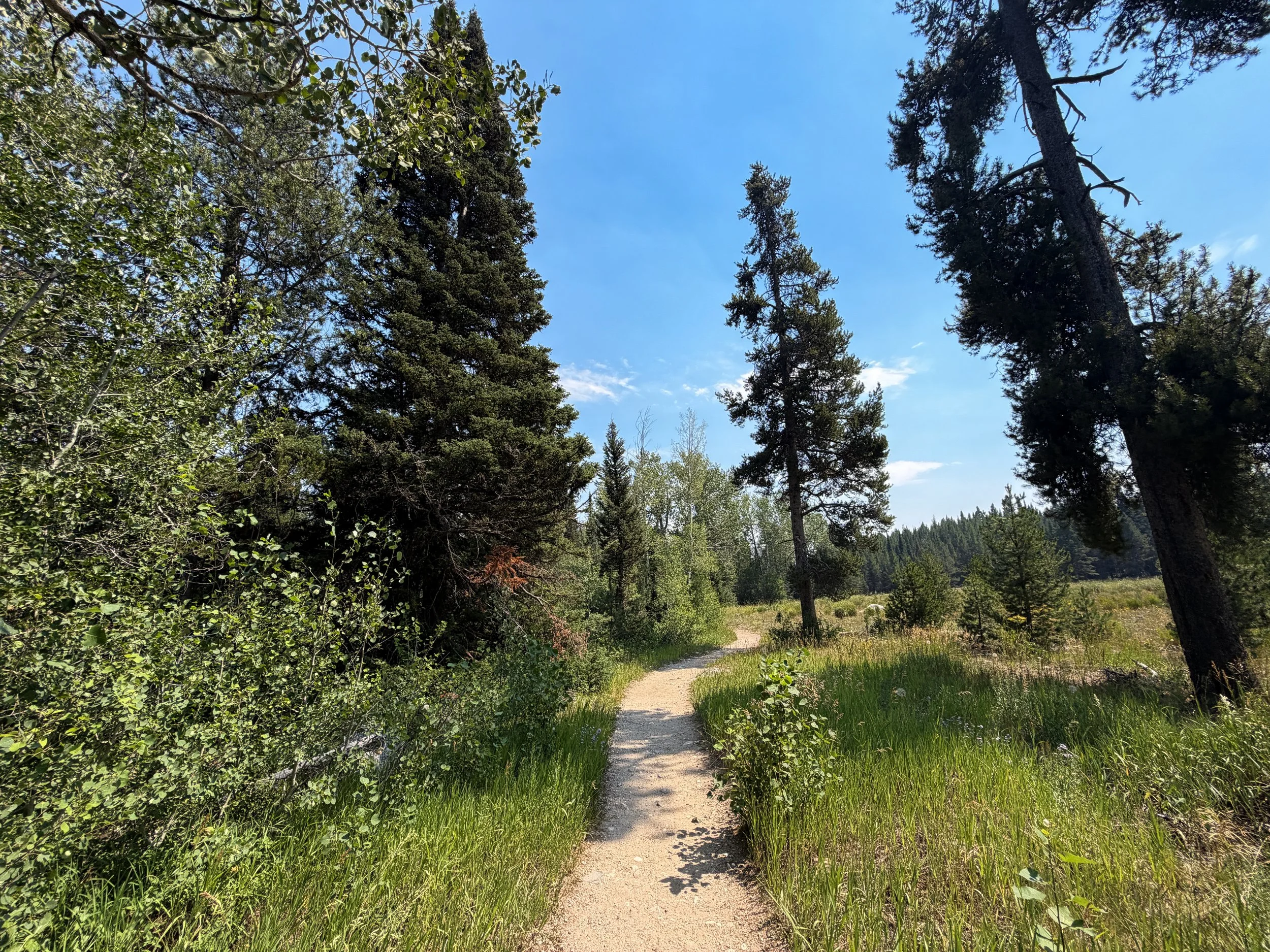 Phelps Lake Loop Trail Grand Teton National Park Wyoming
