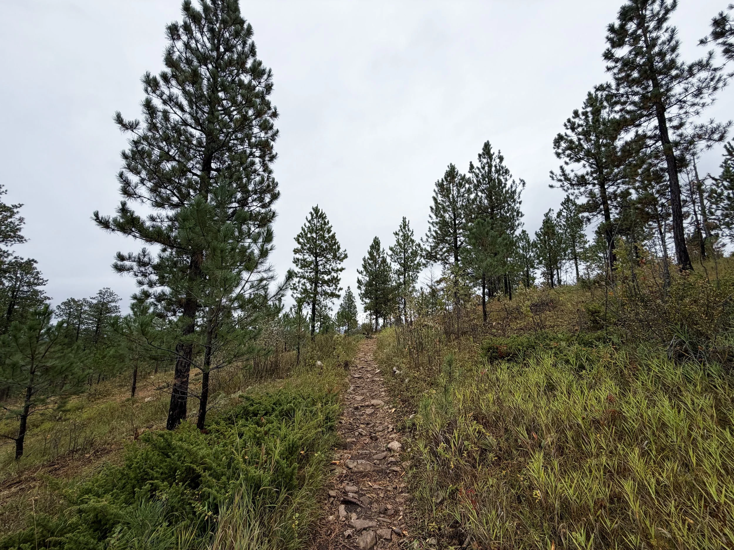 Buzzards Roost Trail Black Hills Rapid City South Dakota