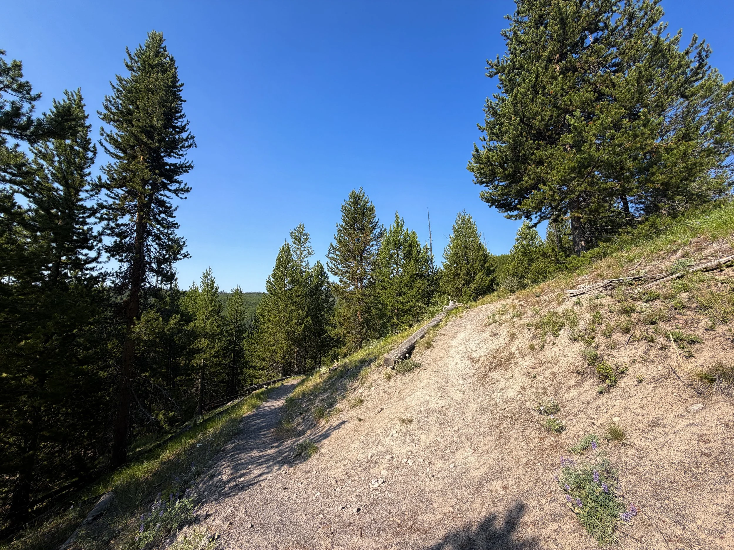 Mystic Falls Trail Switchbacks Yellowstone National Park Wyoming