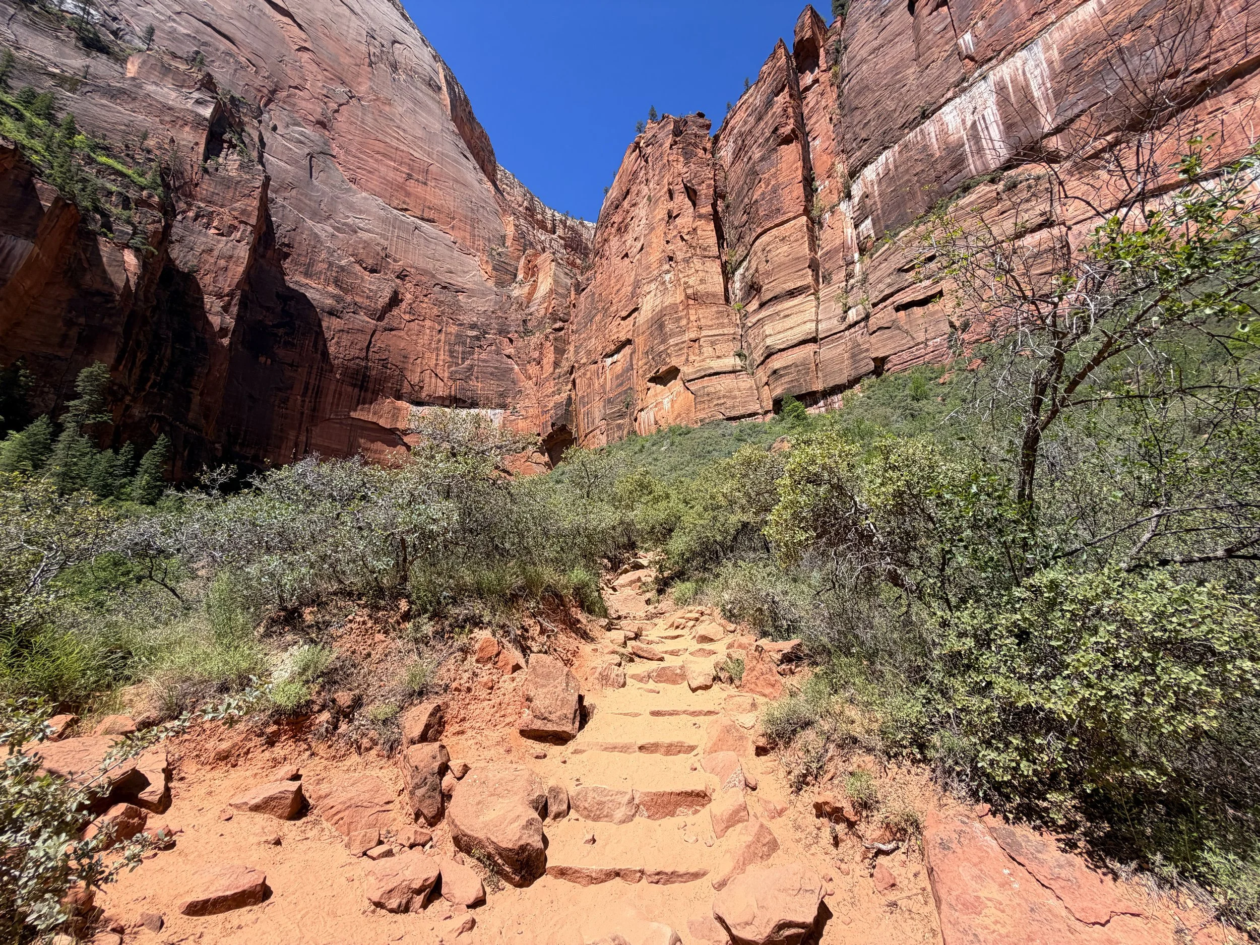 Upper Emerald Pools Trail Zion National Park Utah