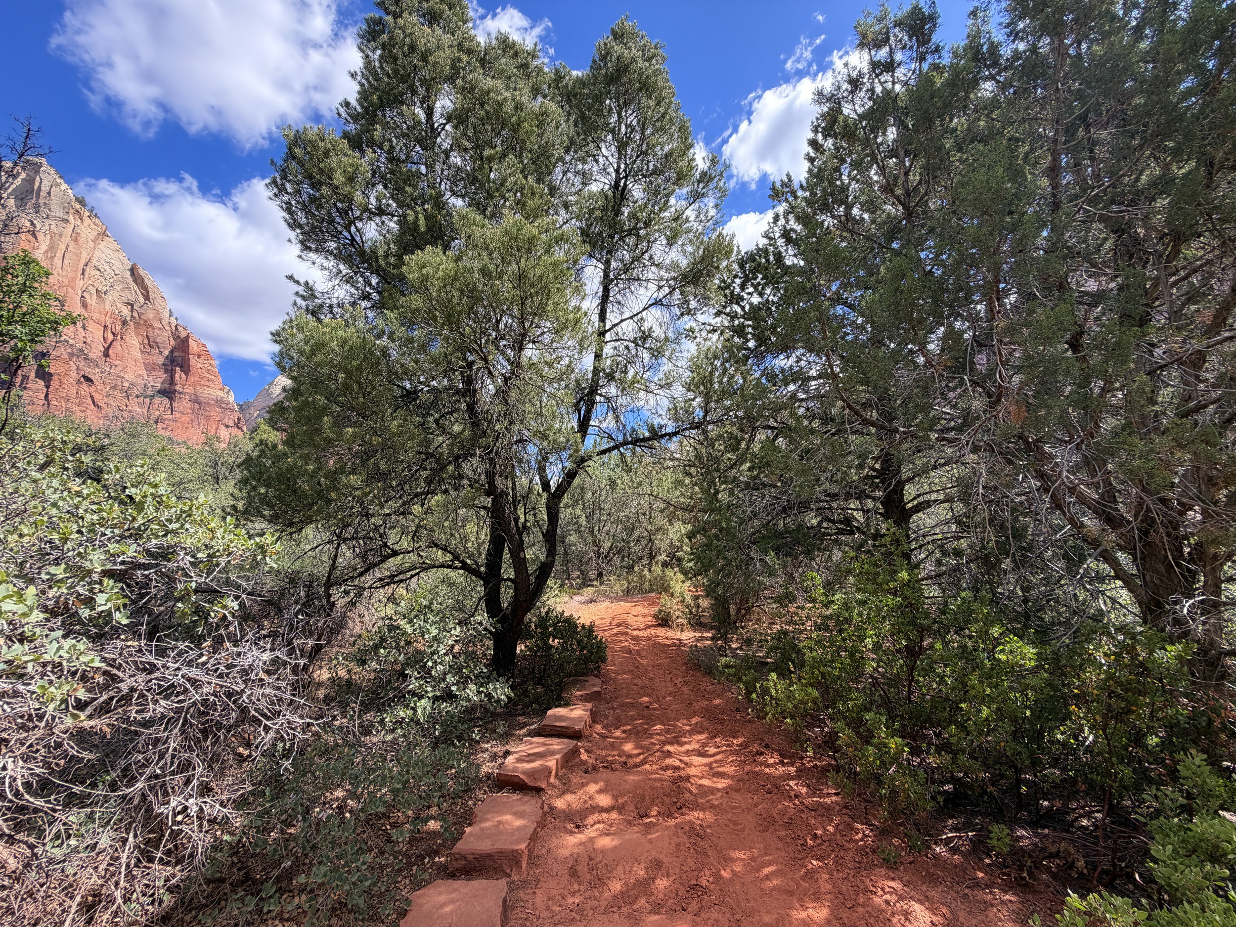 Sand Bench Loop Trail Zion National Park Utah