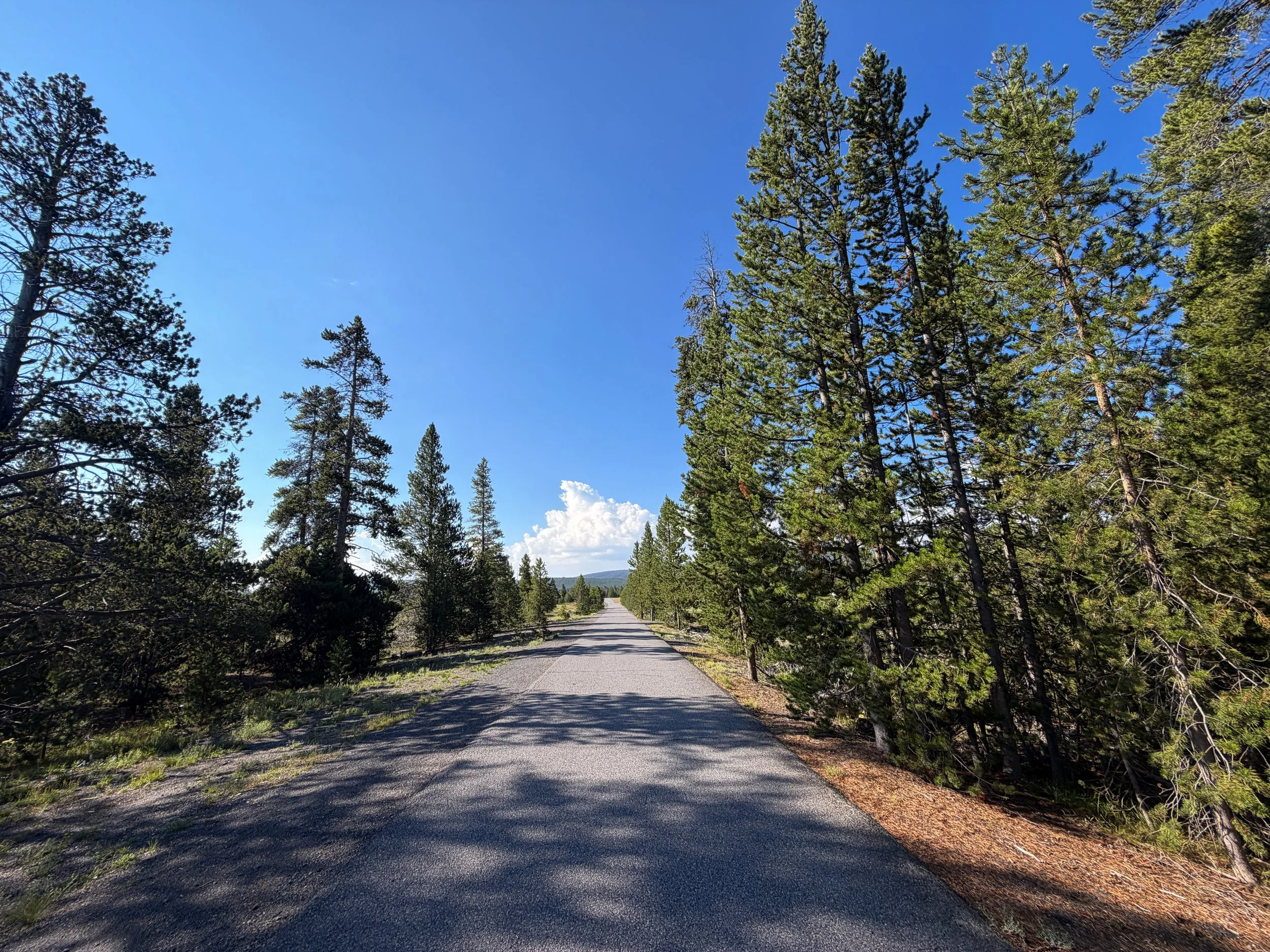 Upper Geyser Basin Loop Trail Yellowstone National Park Wyoming