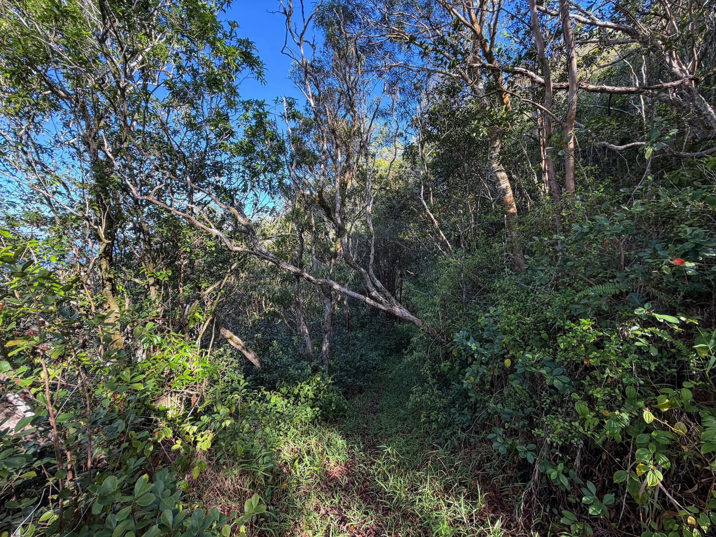 Mokuleia Trail Oahu Hawaii