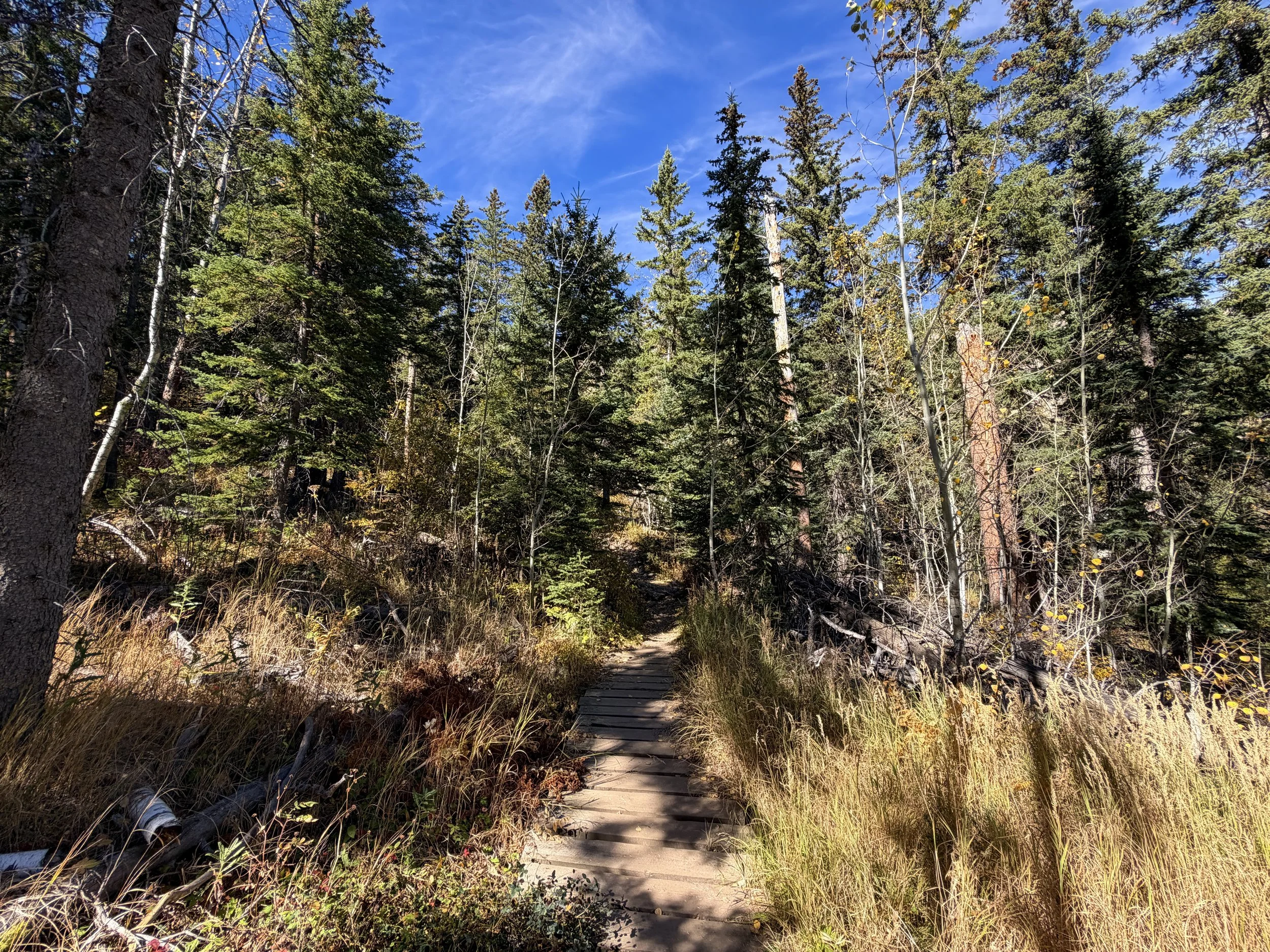 Sunday Gulch Trail Custer State Park Black Hills South Dakota