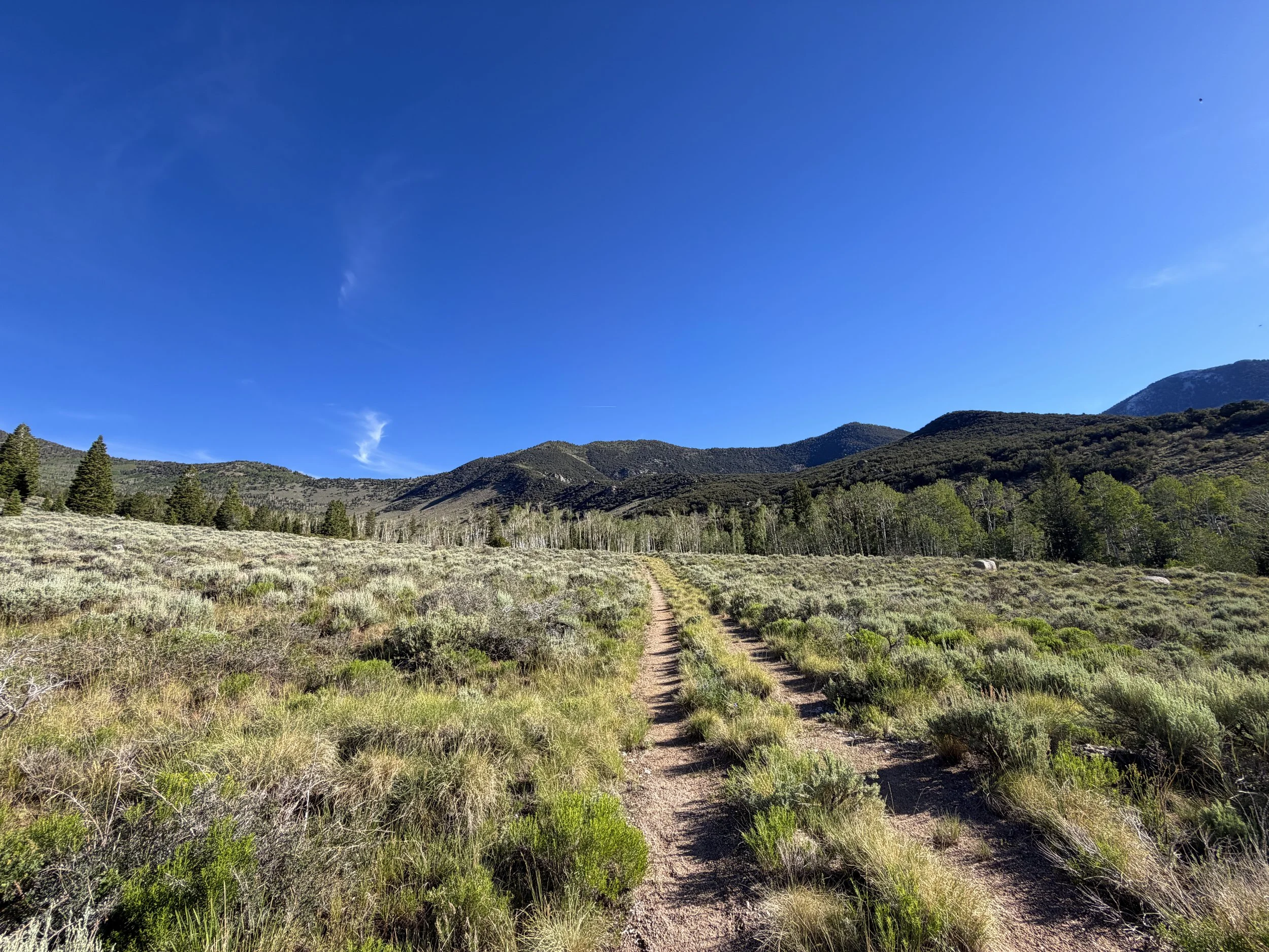 Johnson Lake Trail Great Basin National Park Nevada