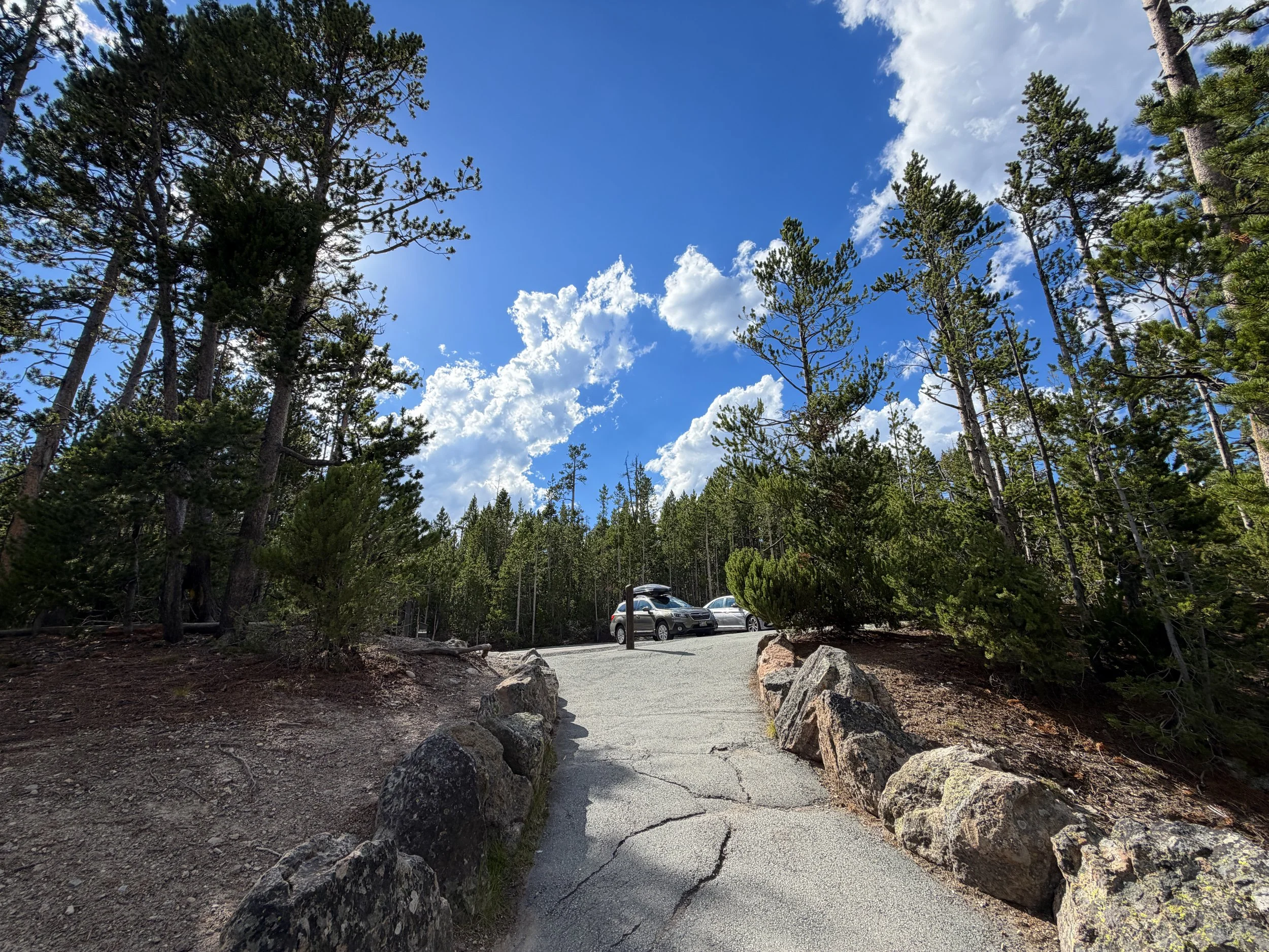 North Rim Trail Yellowstone National Park Wyoming