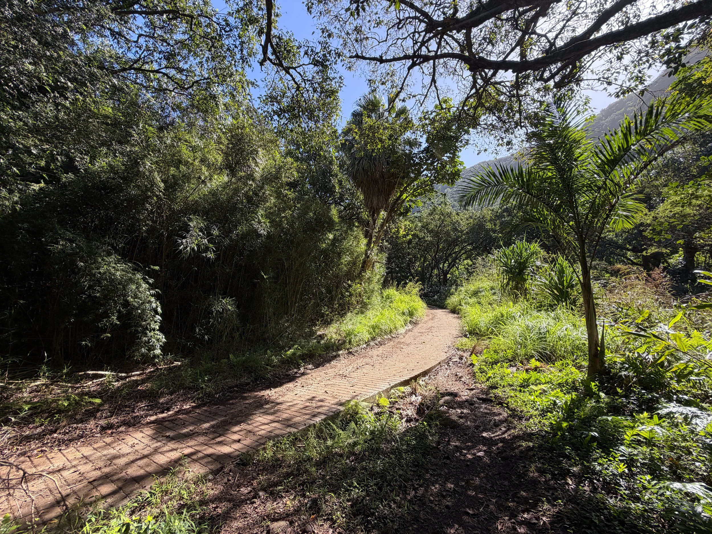 Tripler Ridge Trail via Kamananui Valley Road Oahu Hawaii