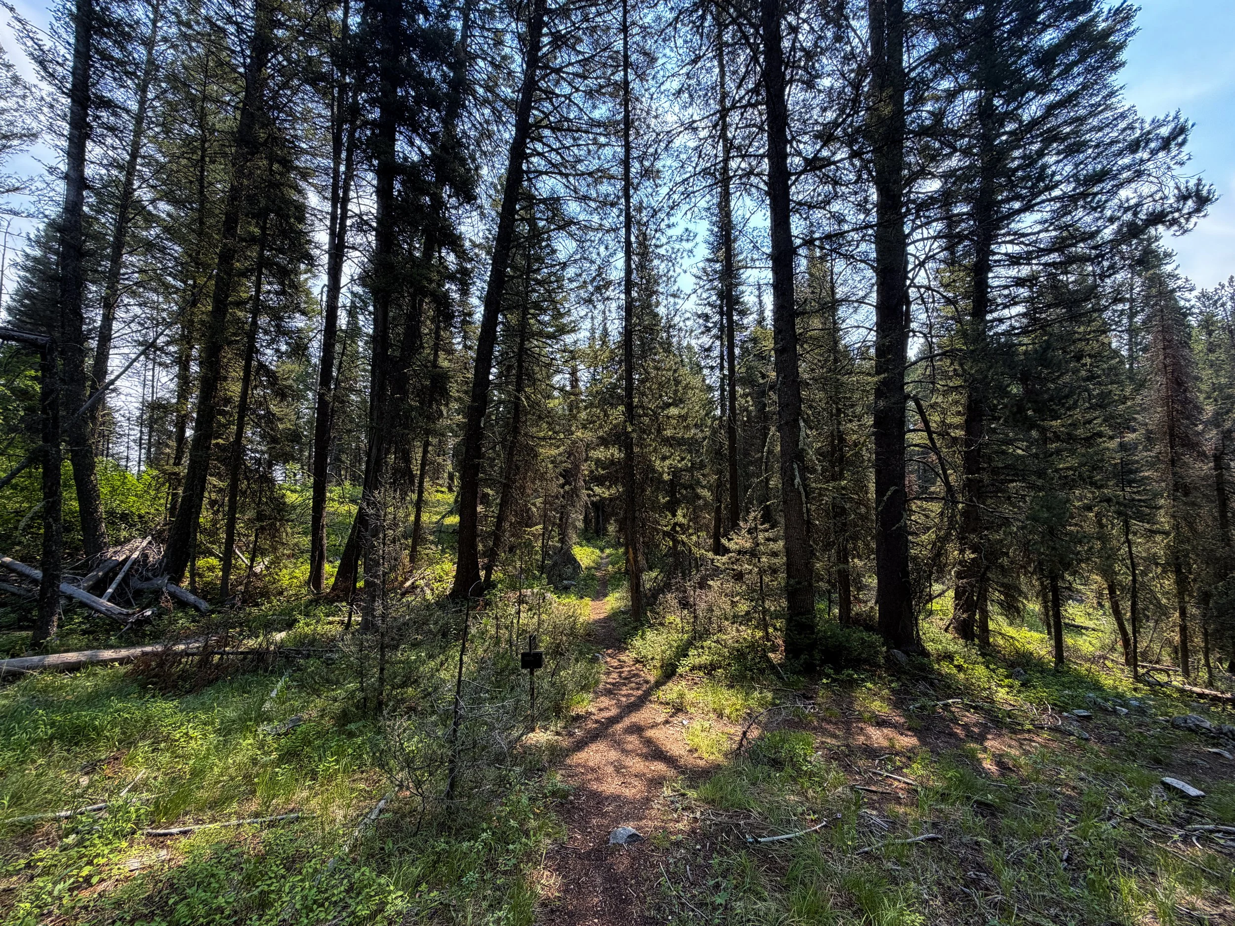 Boulder Ridge Loop Trail Grand Teton National Park Wyoming