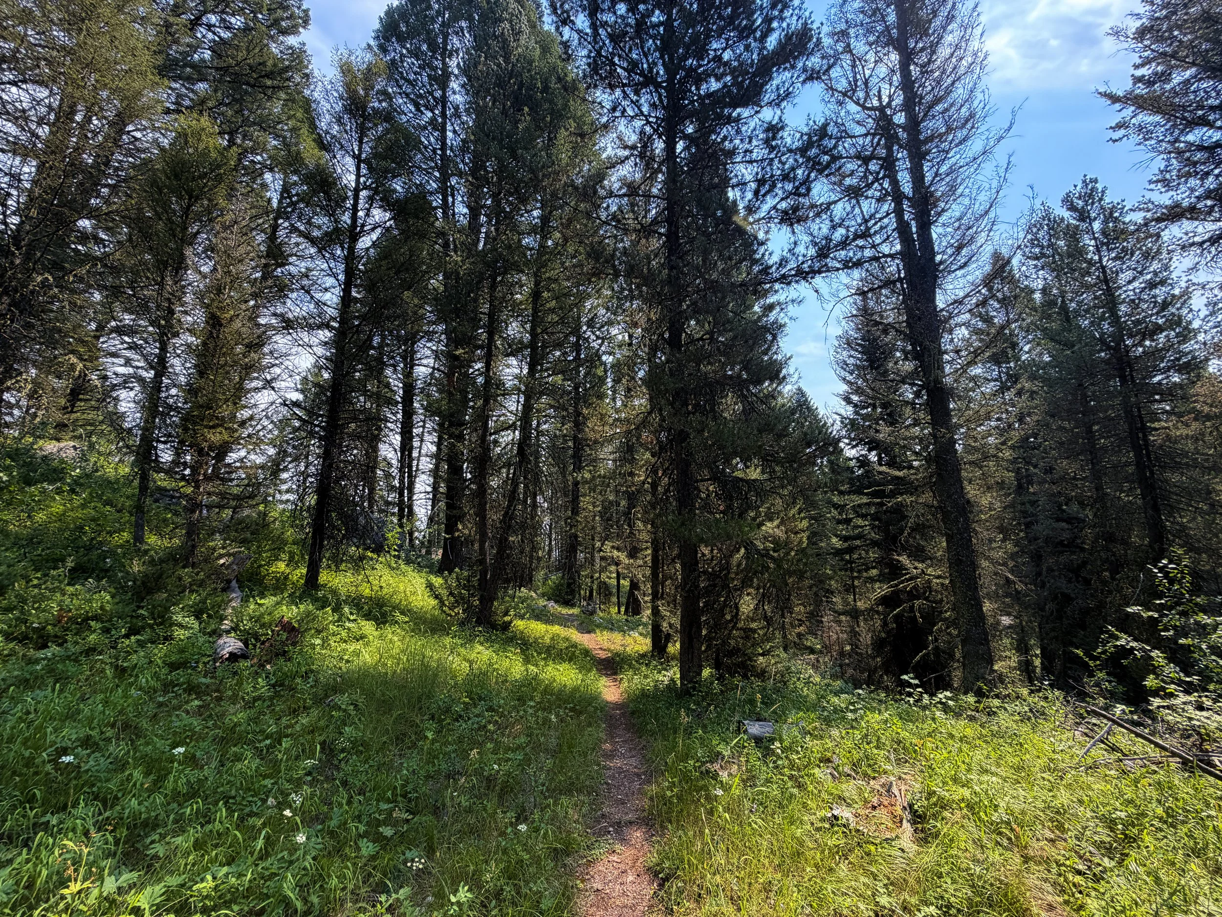 Boulder Ridge Loop Trail Grand Teton National Park Wyoming
