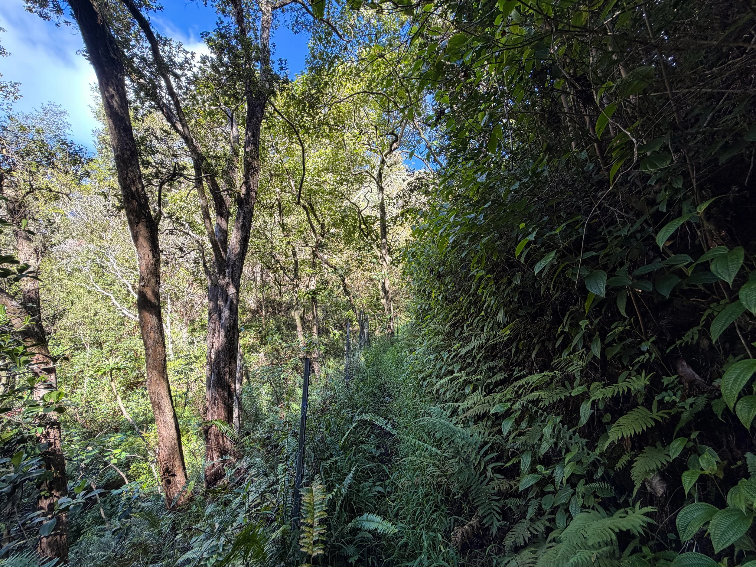 Mokuleia Trail Oahu Hawaii