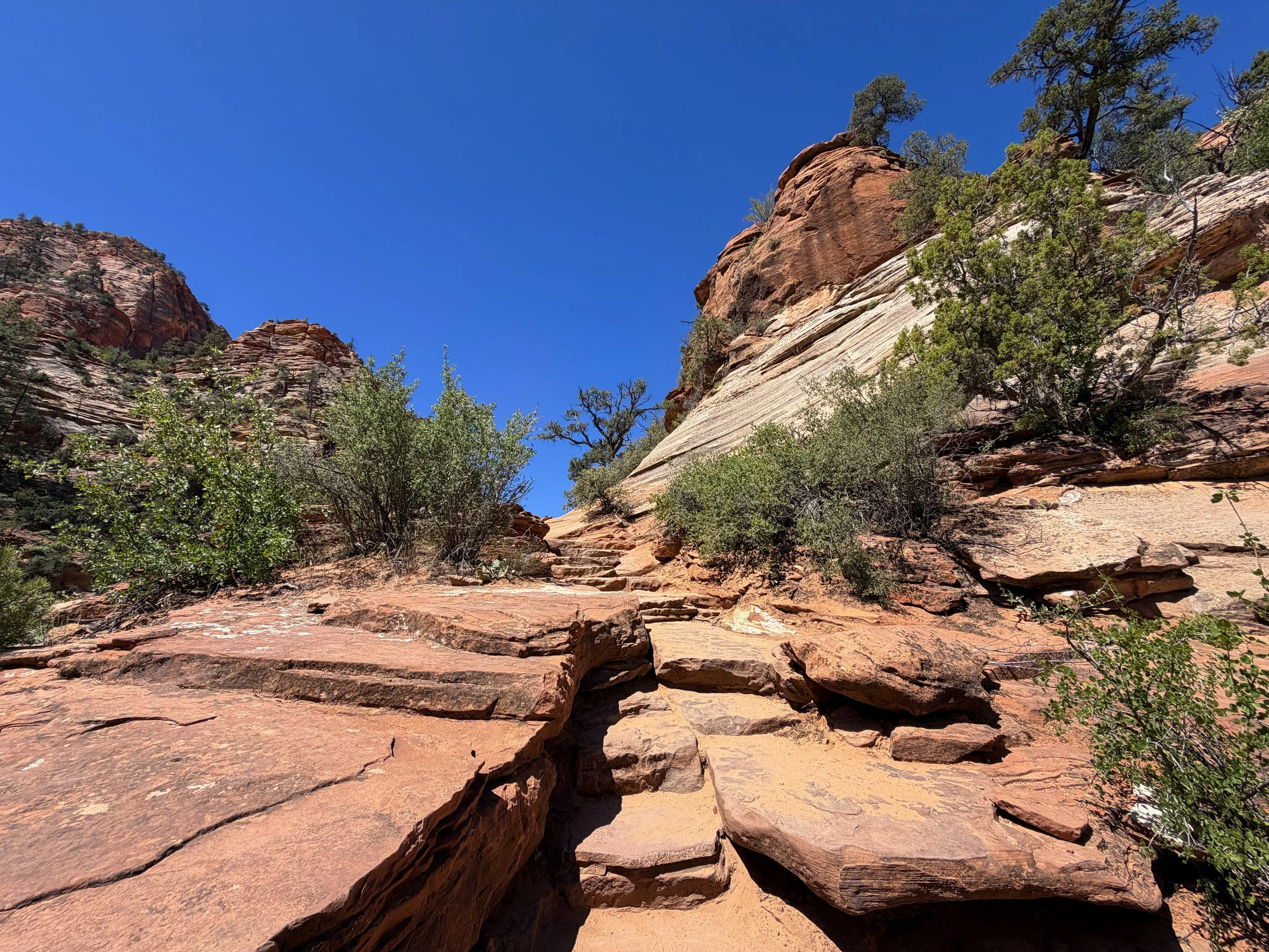 Canyon Overlook Trail Zion National Park Utah