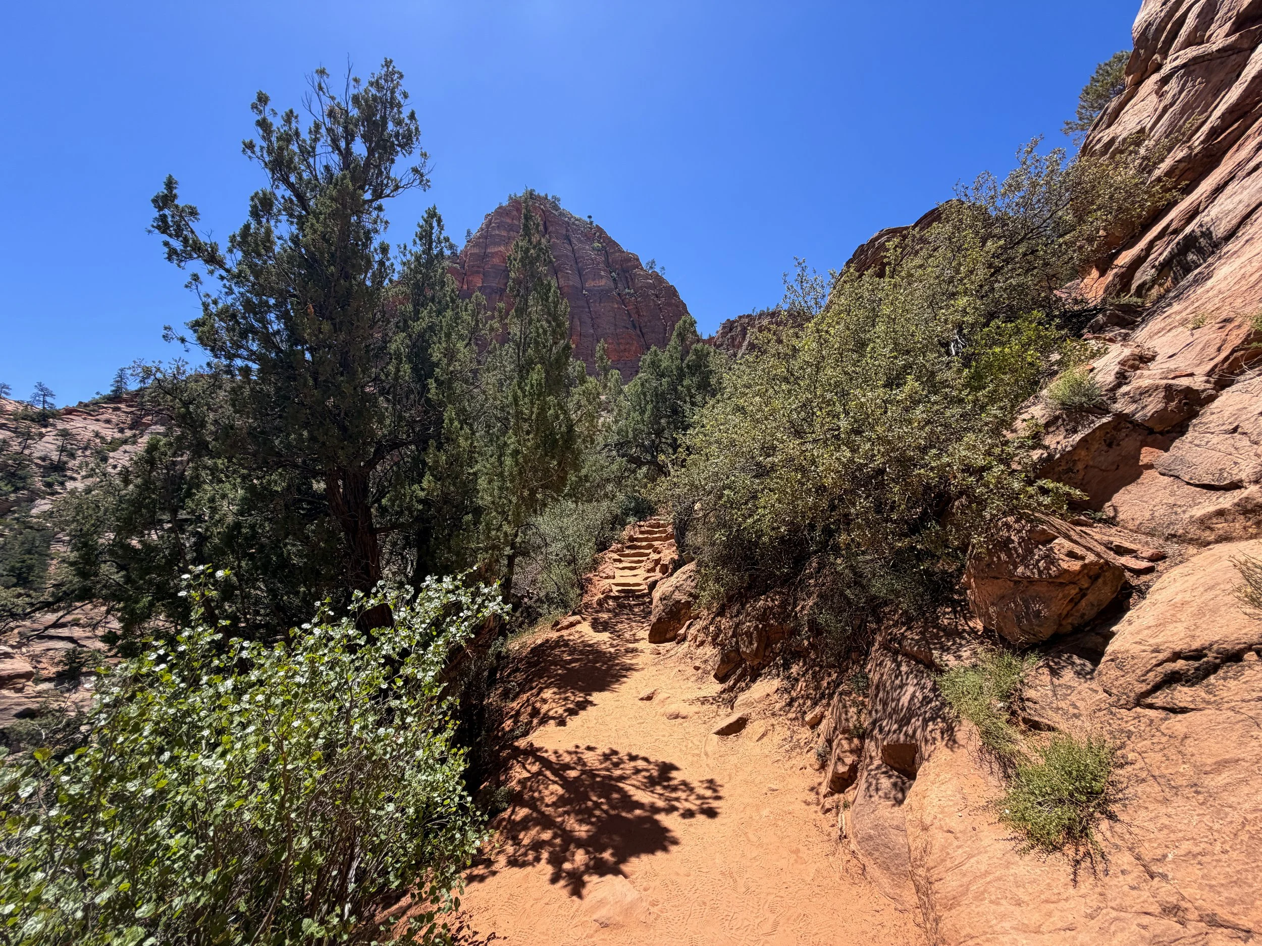 Zion Canyon Overlook Trail Zion National Park Utah