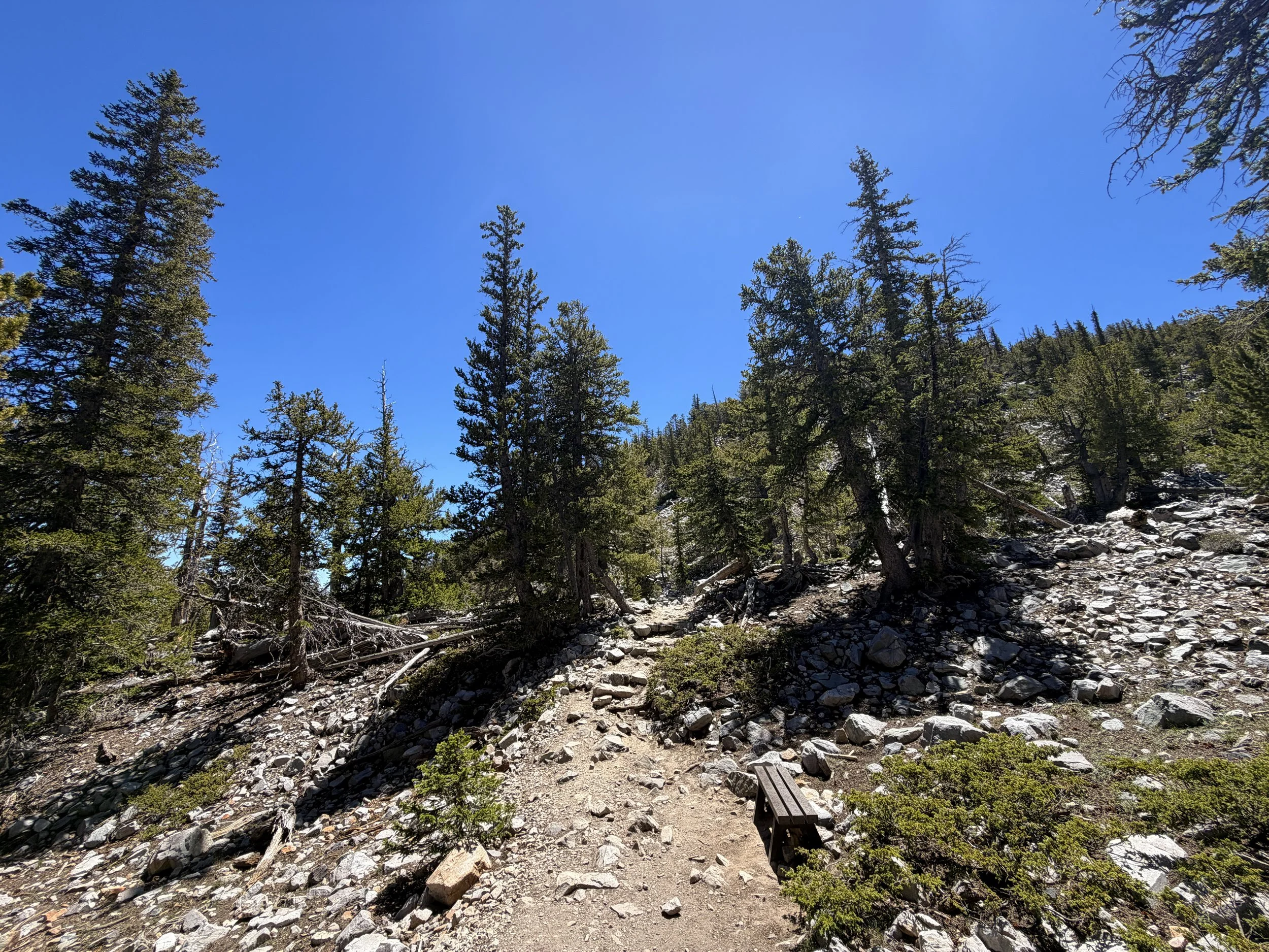 Bristlecone Pine Trail Great Basin National Park Nevada
