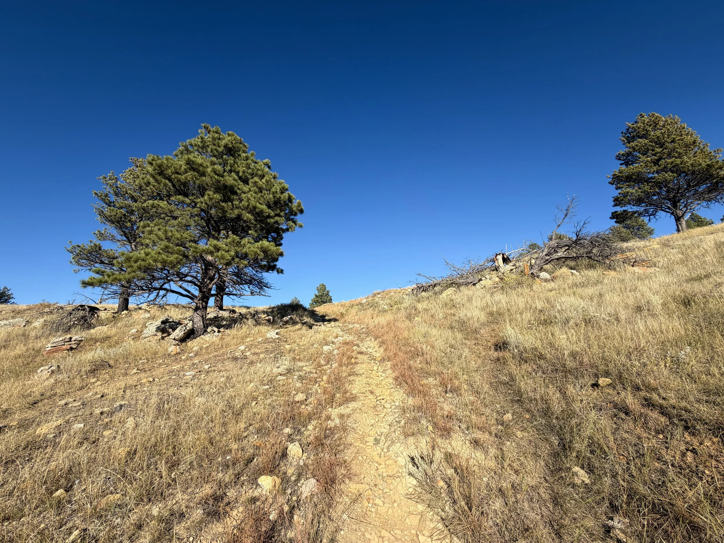 Boland Ridge Hike Wind Cave National Park South Dakota
