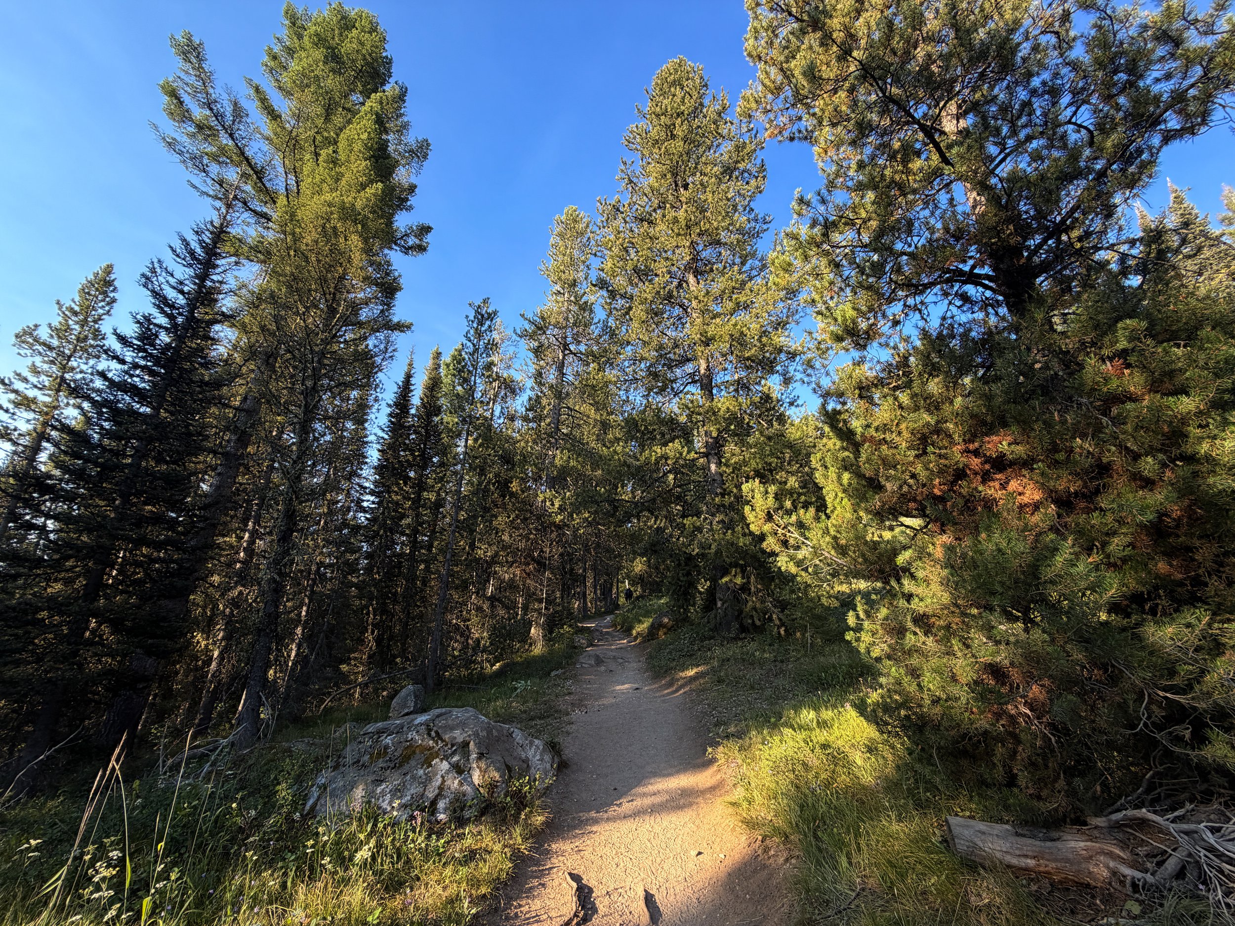 Delta Lake Trail via Lupine Meadows Grand Teton National Park Wyoming