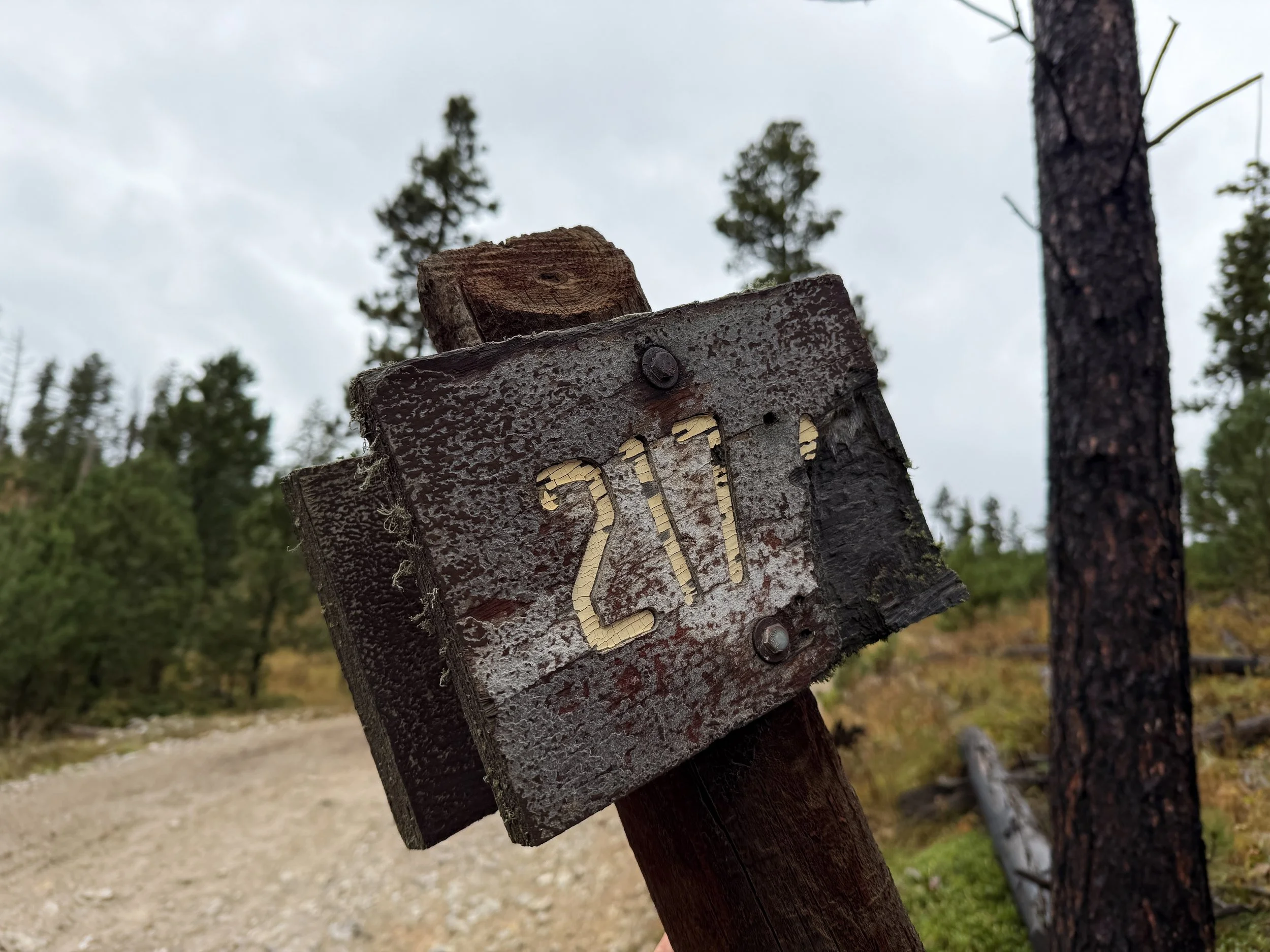 Custer Peak Lookout Trail Black Hills South Dakota
