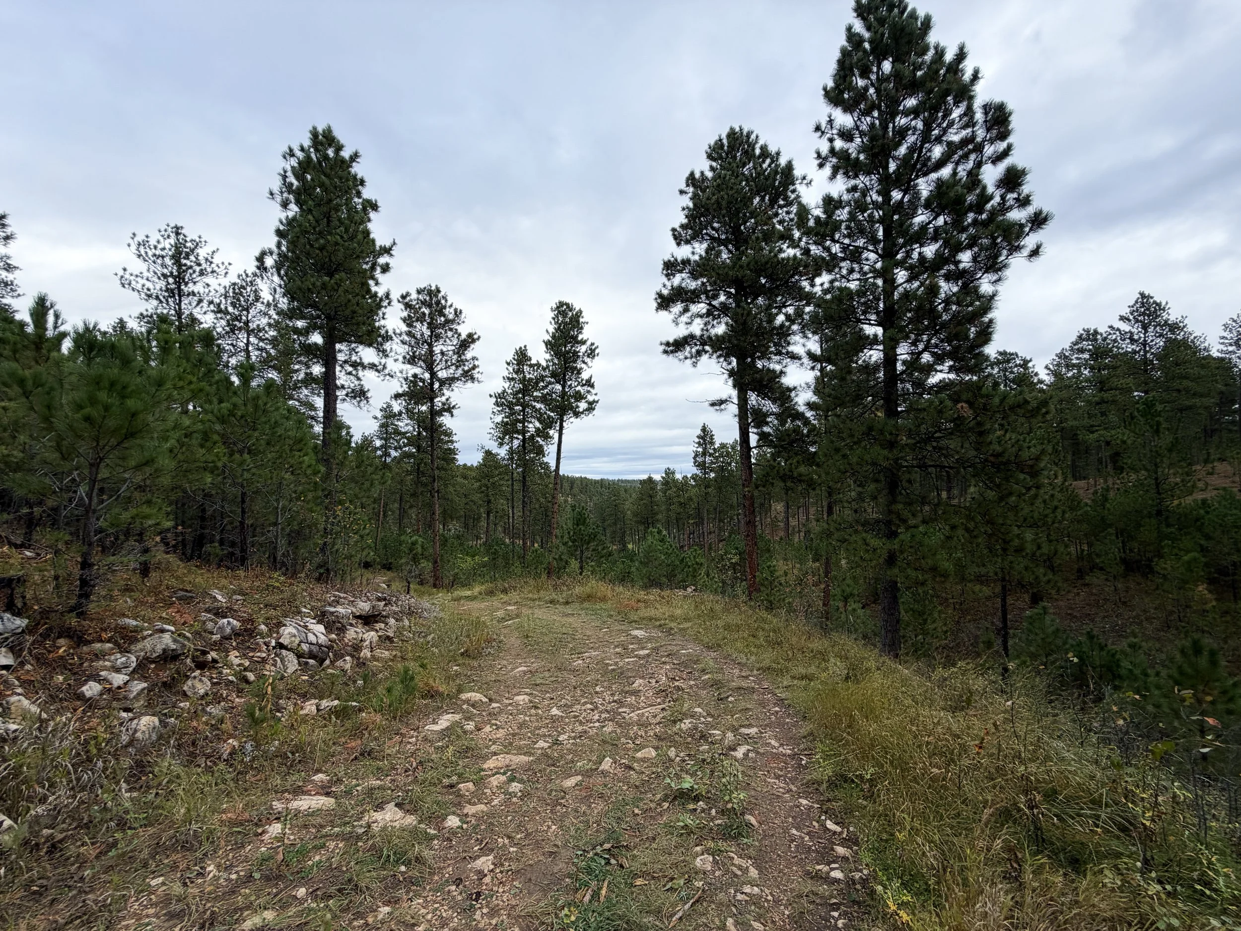 Buzzards Roost Loop Hike Black Hills Rapid City South Dakota