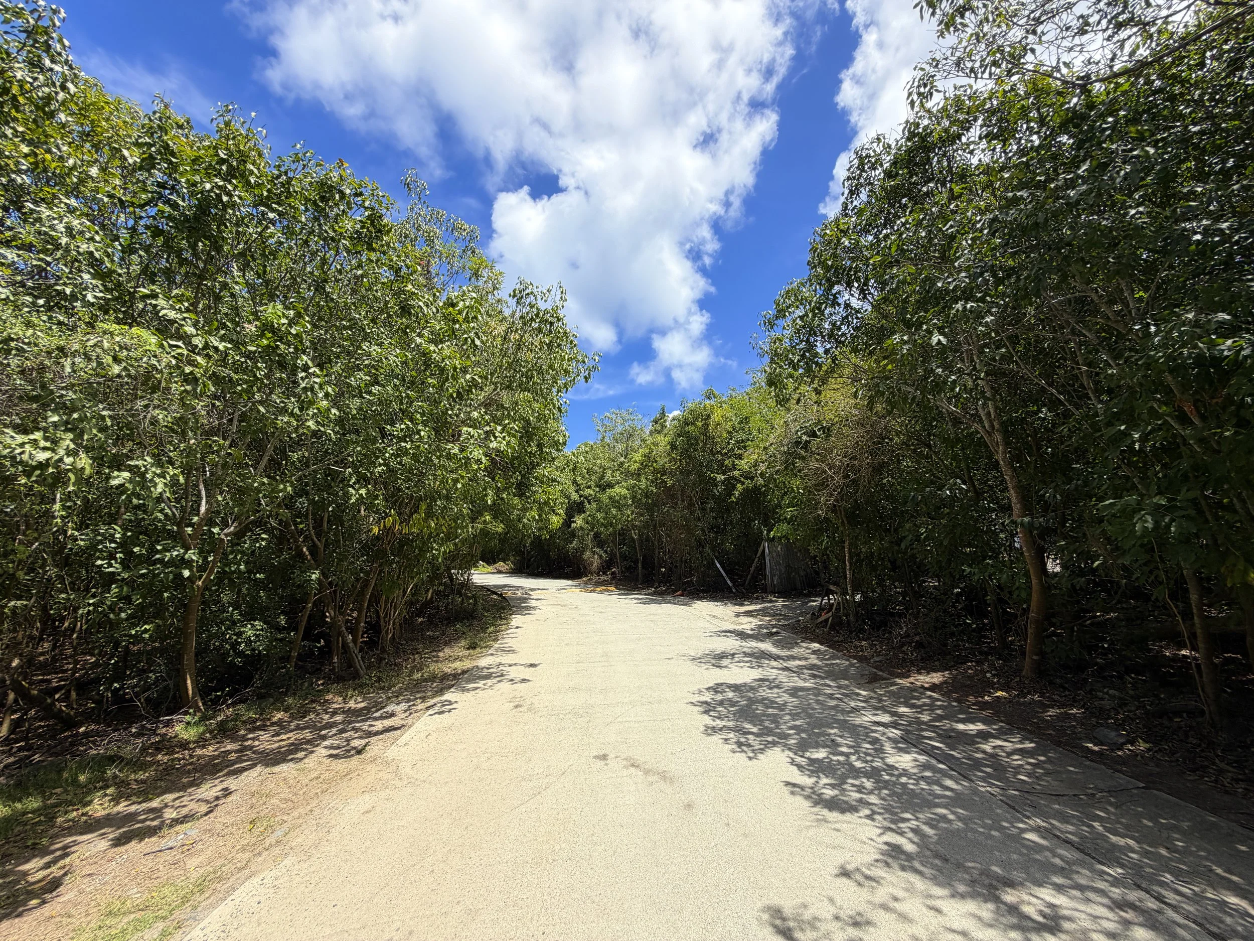 Francis Bay Trail Virgin Islands National Park