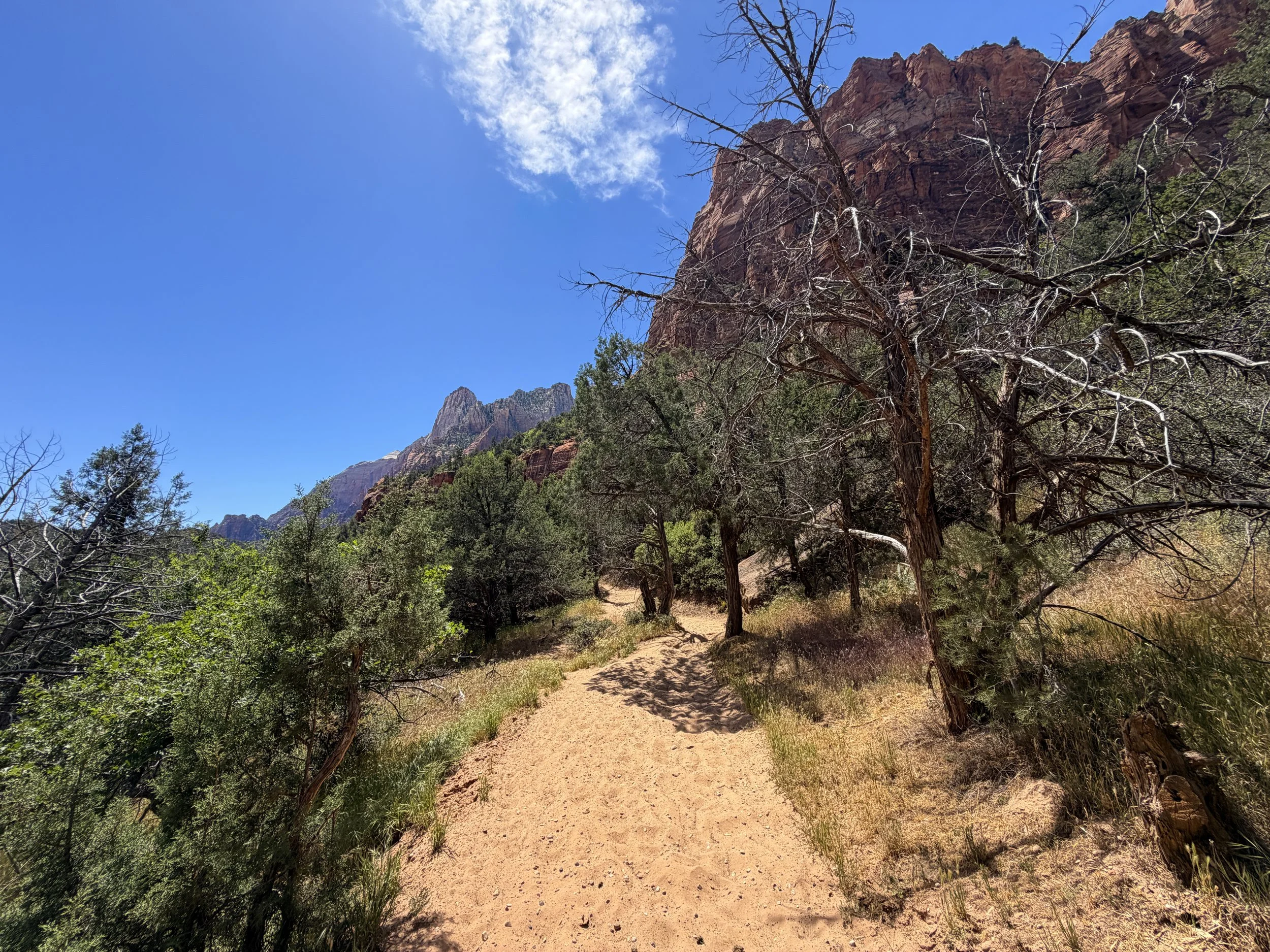 Sand Bench Loop Trail via Zion Lodge Zion National Park Utah