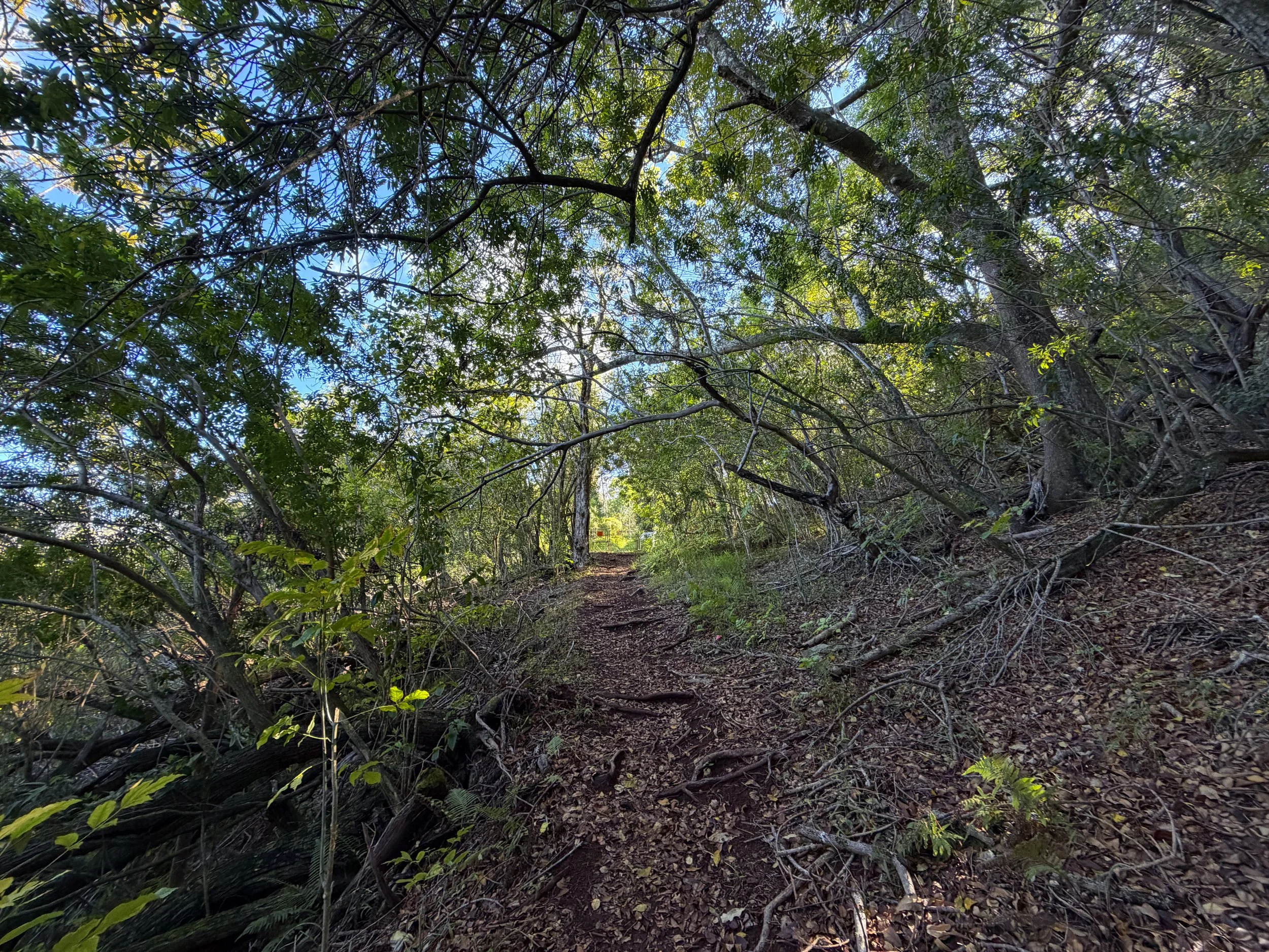 Mokuleia Trail Oahu Hawaii