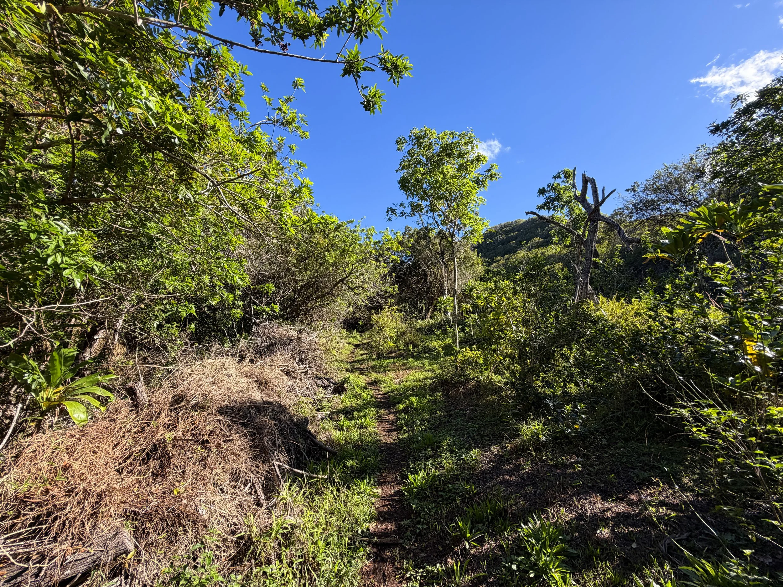 Mokuleia Trail Oahu Hawaii