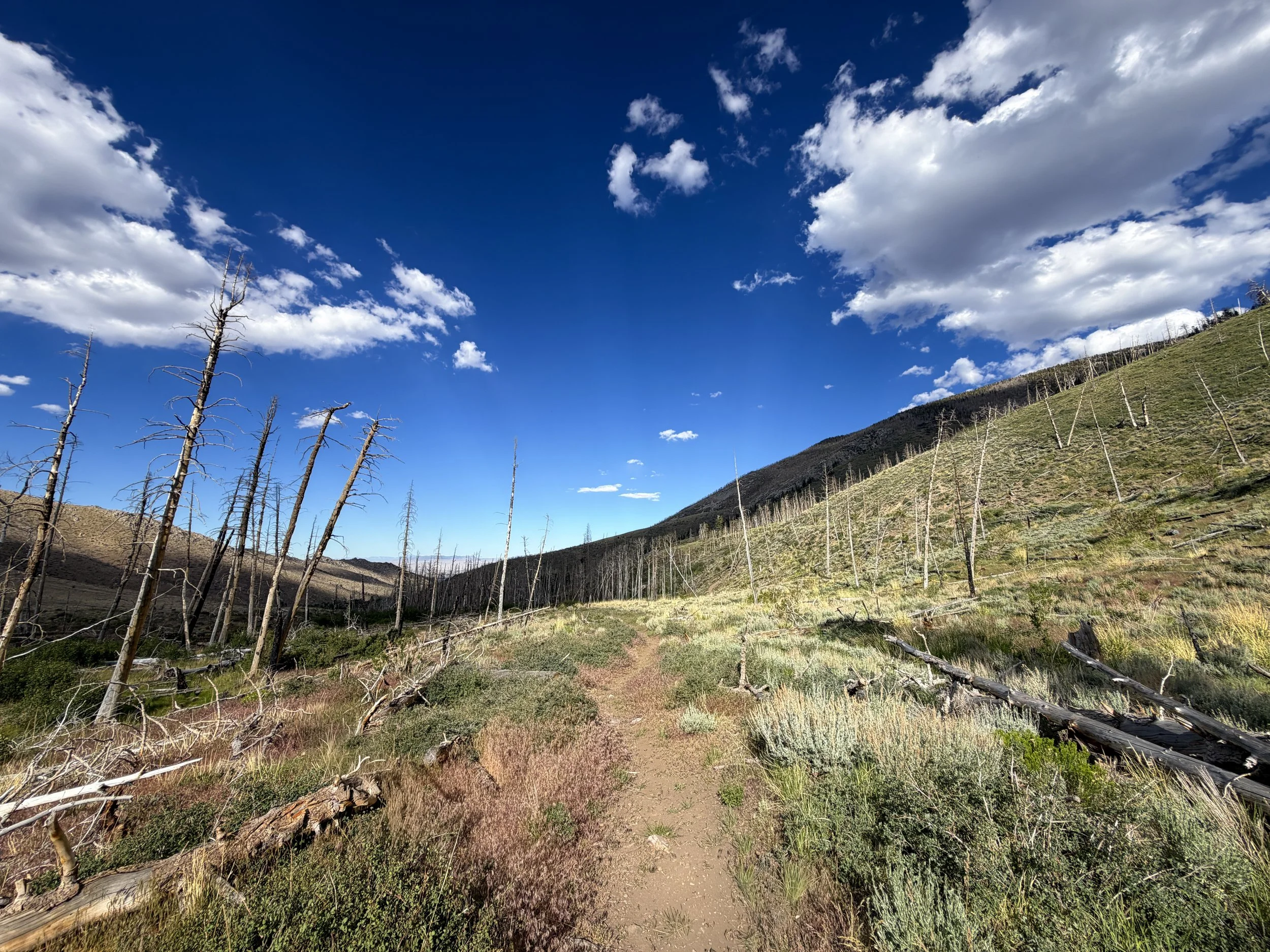 Sage Steppe Loop Trail Great Basin National Park Nevada