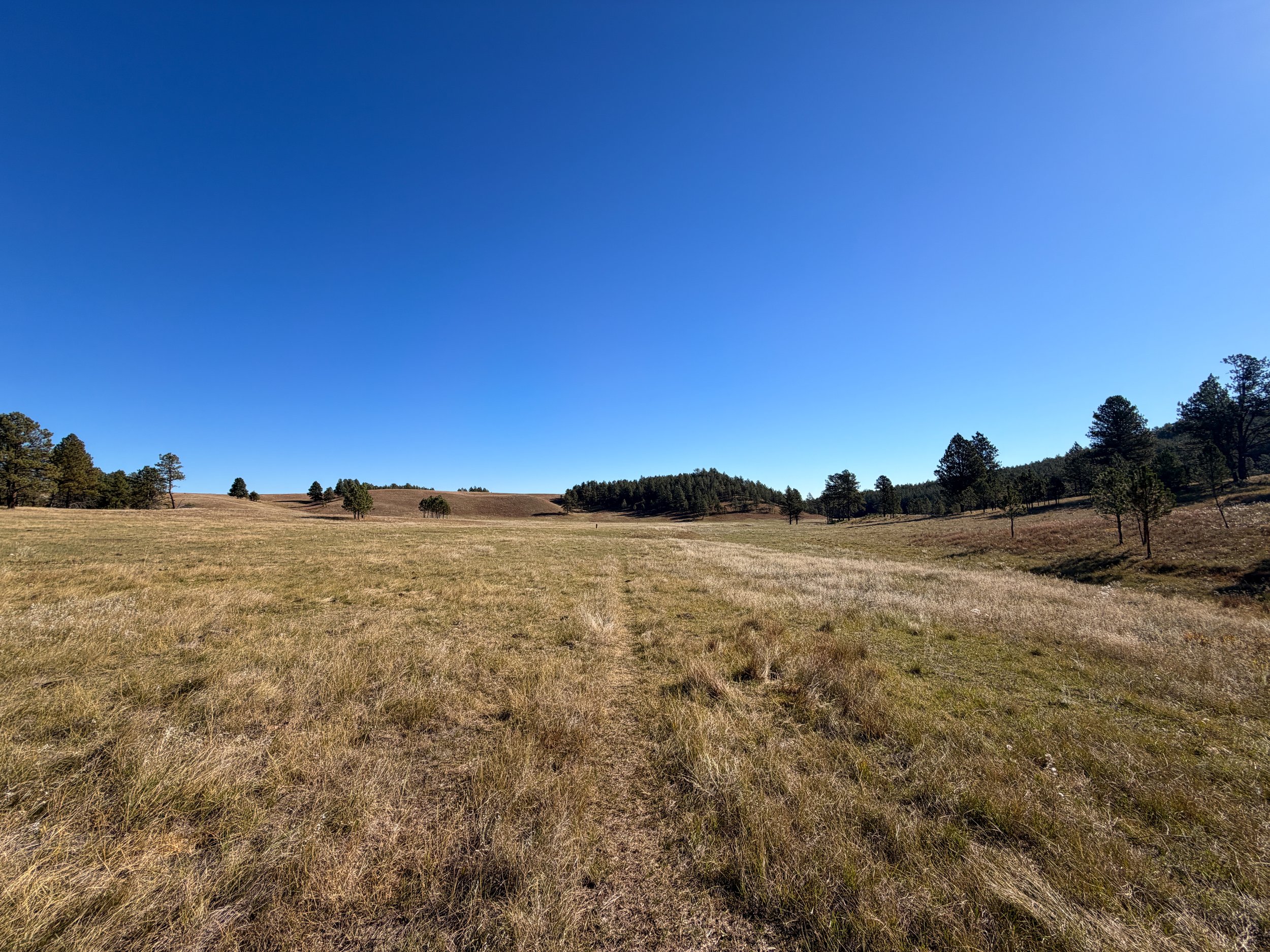 Sanctuary Trail Wind Cave National Park South Dakota