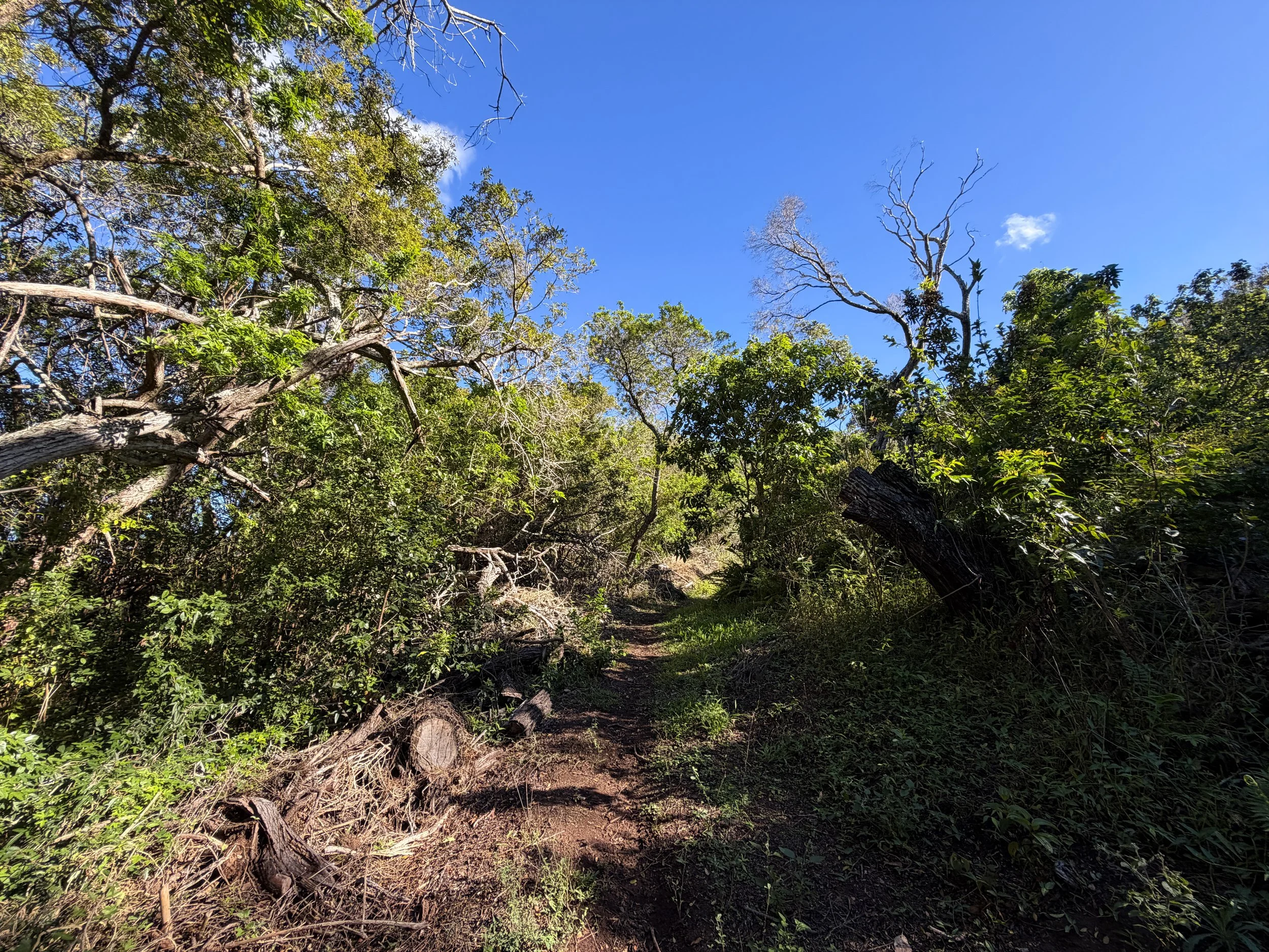 Mokuleia Trail Oahu Hawaii
