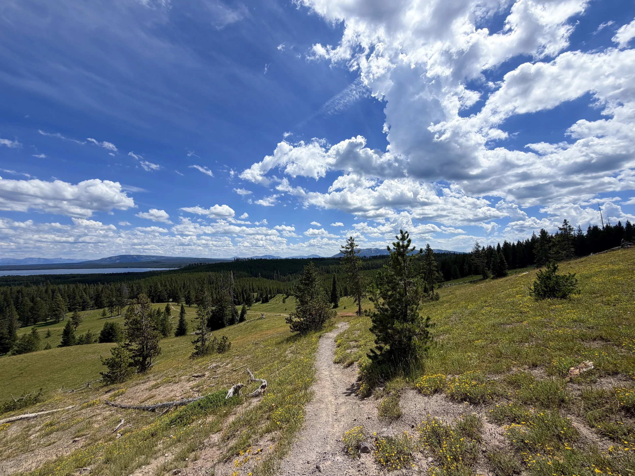 Yellowstone Lake Overlook Trail Yellowstone National Park Wyoming