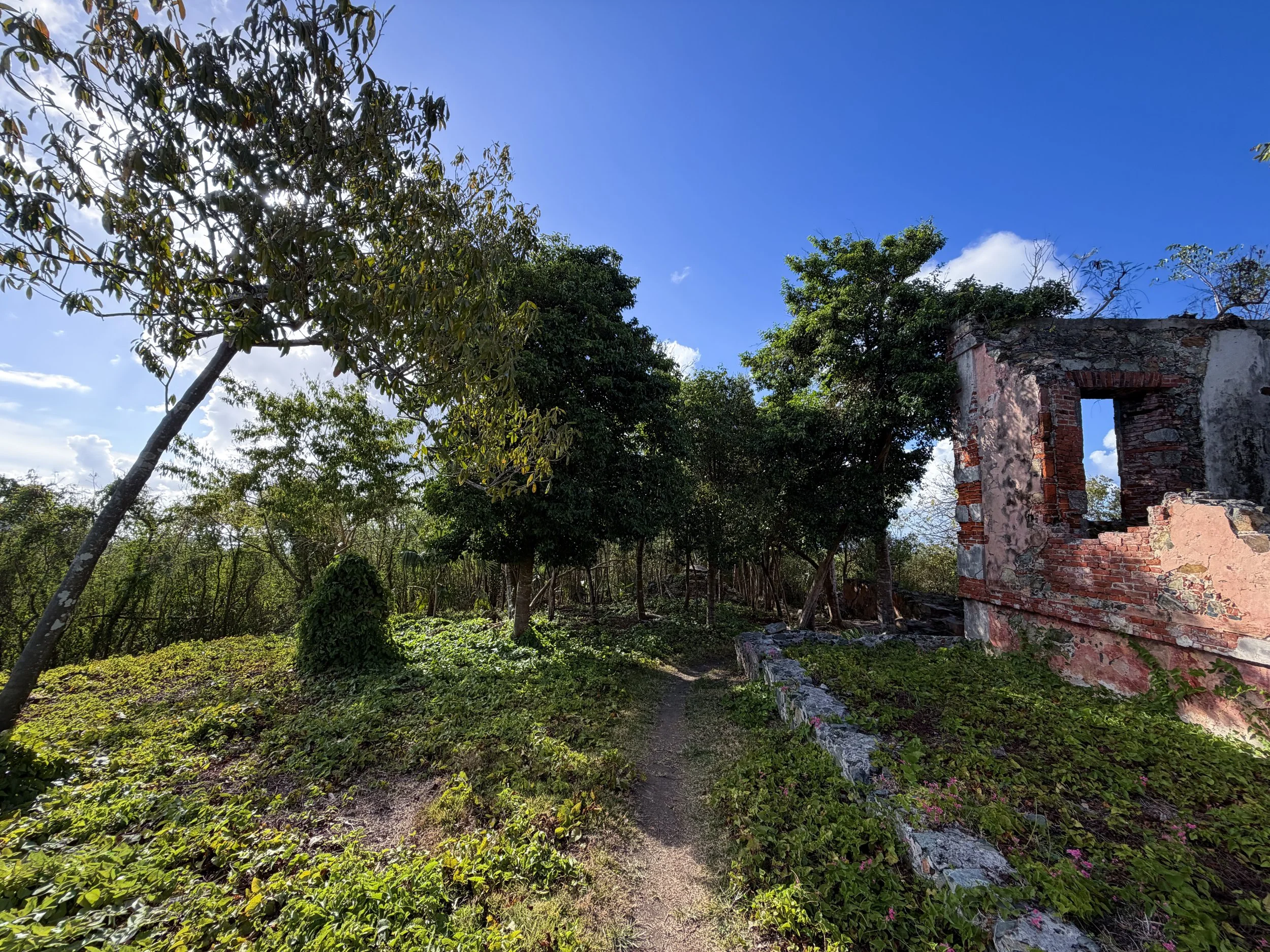 America Hill Ruins Virgin Islands National Park