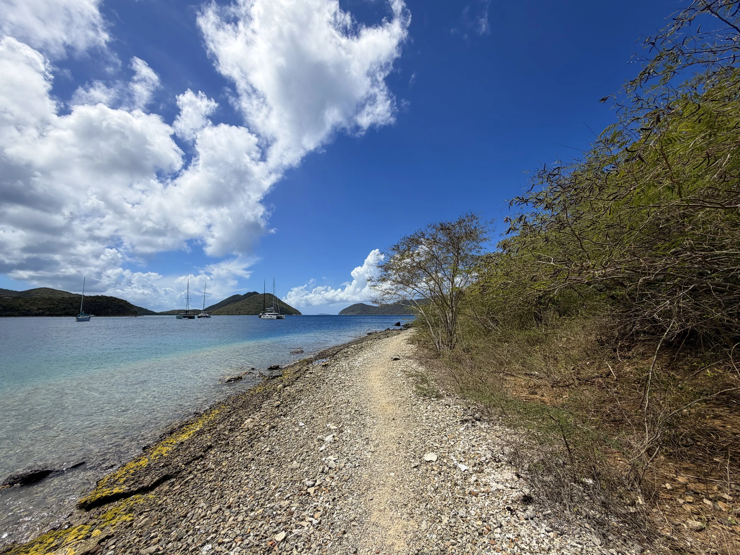 Leinster Bay Hike Virgin Islands National Park