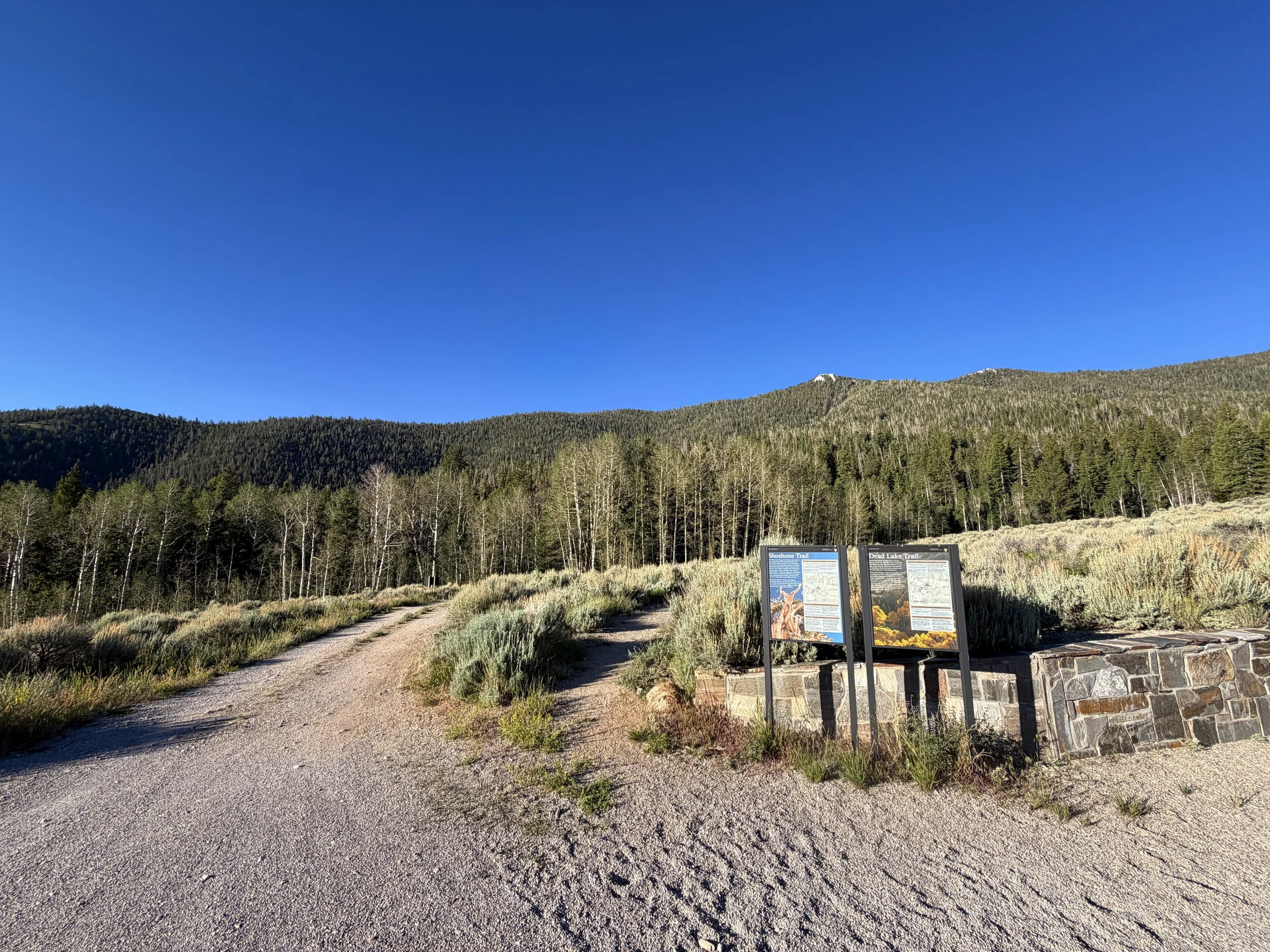 Snake Divide Trailhead Great Basin National Park Nevada