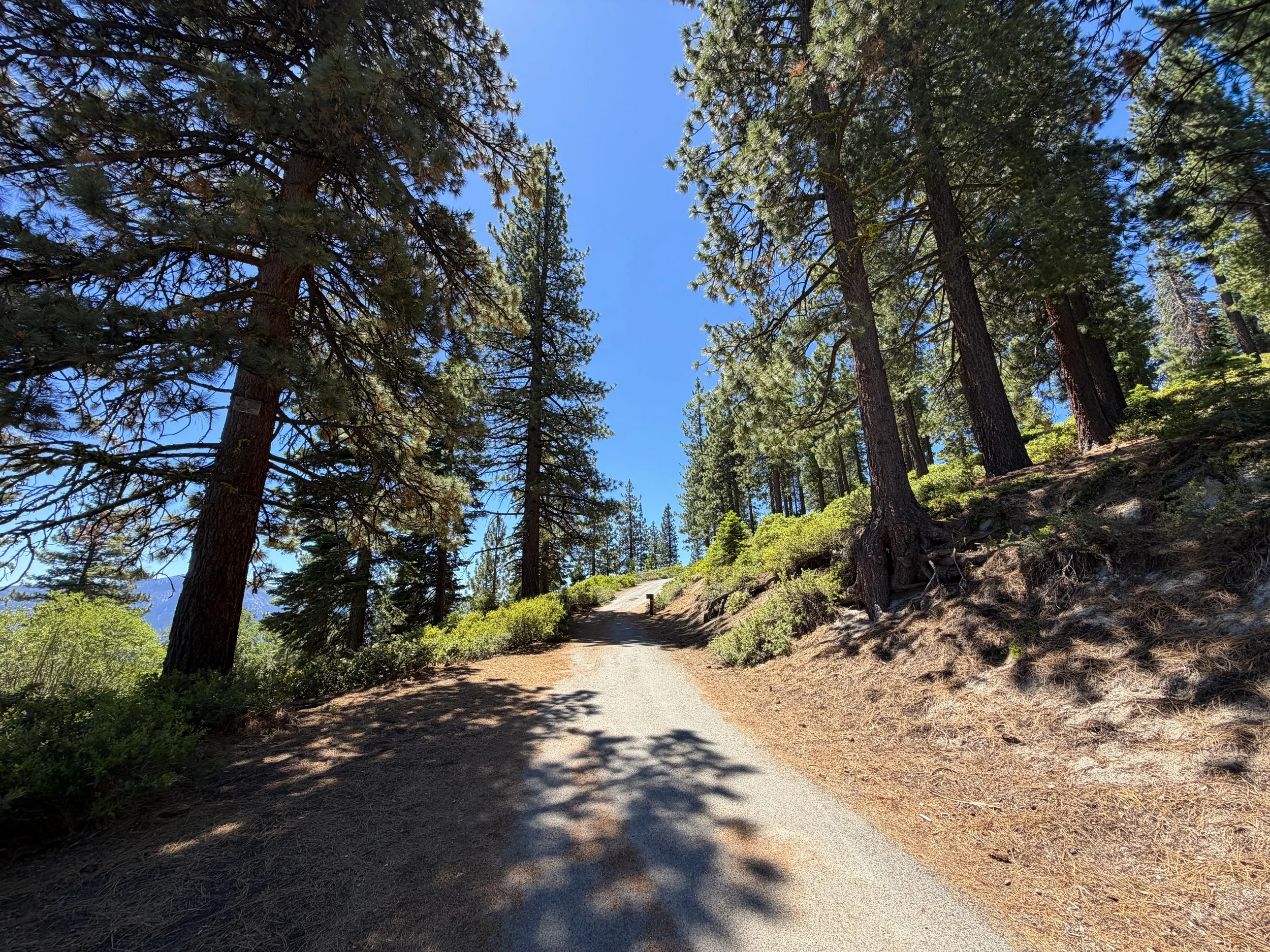 State Line Lookout Trail Lake Tahoe Nevada