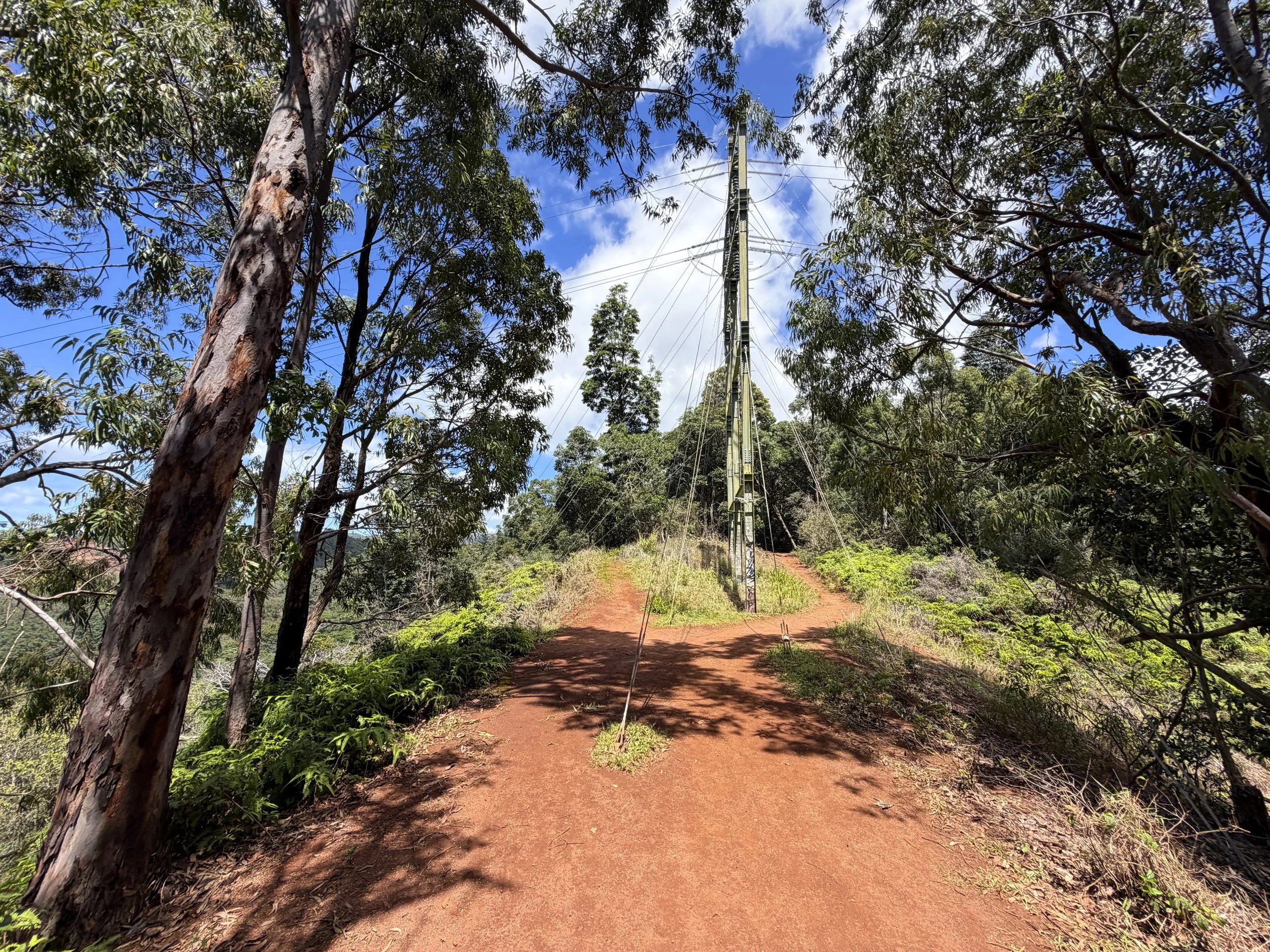 Manana Ridge Trail to Waimano Pools Oahu Hawaii
