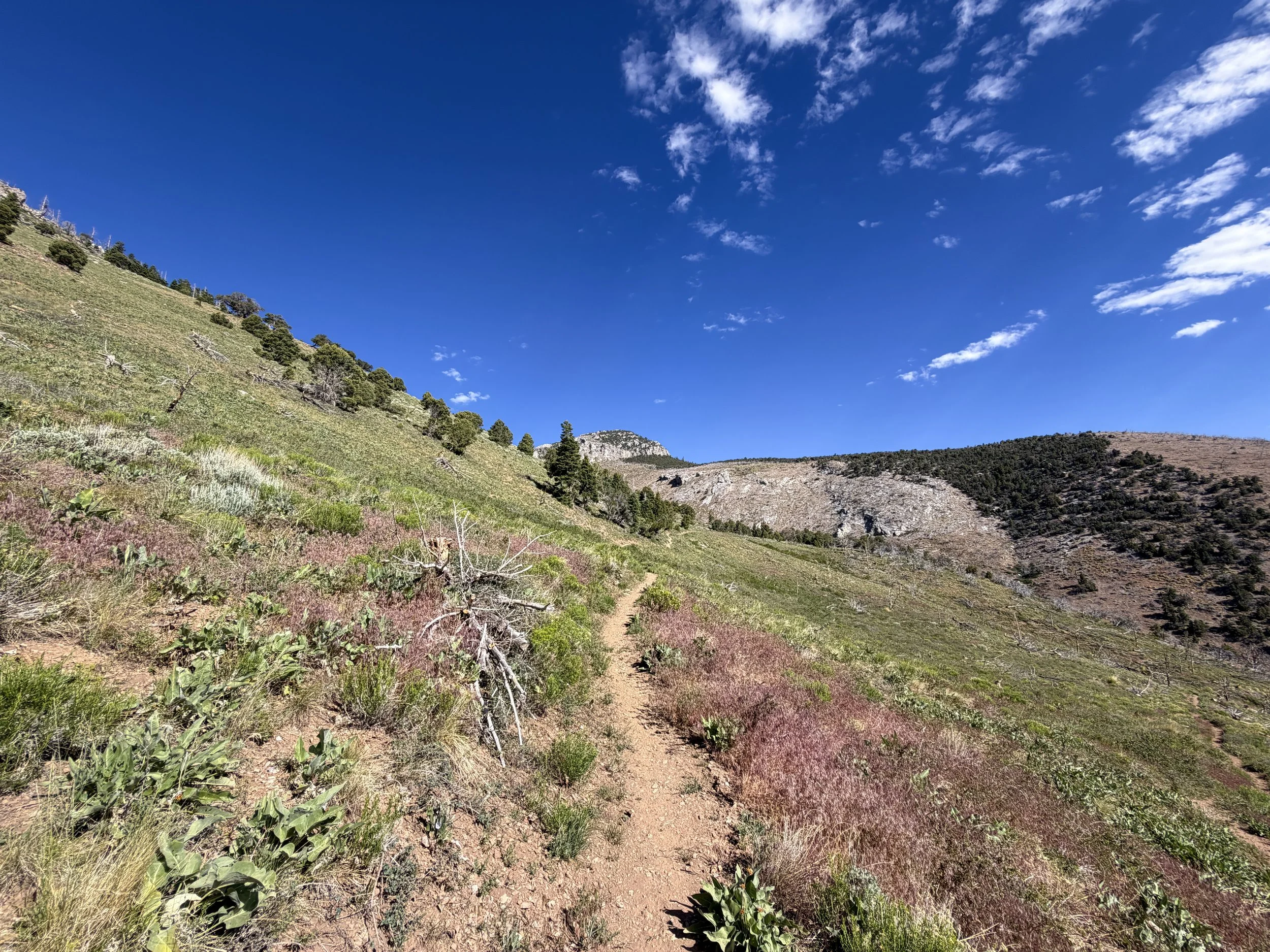 Lexington Arch Trail Great Basin National Park Nevada