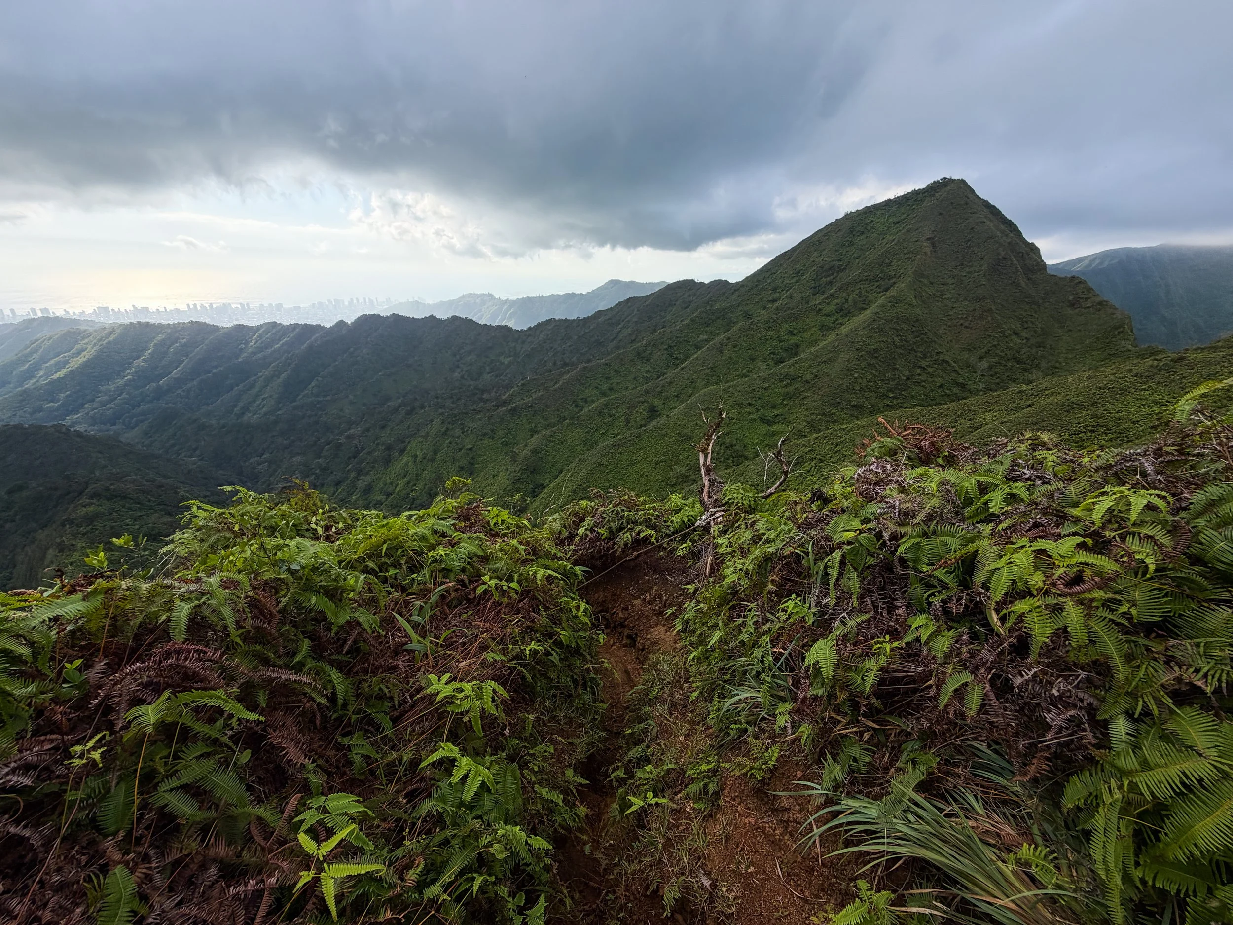Kaau Crater Loop Trail Oahu Hawaii
