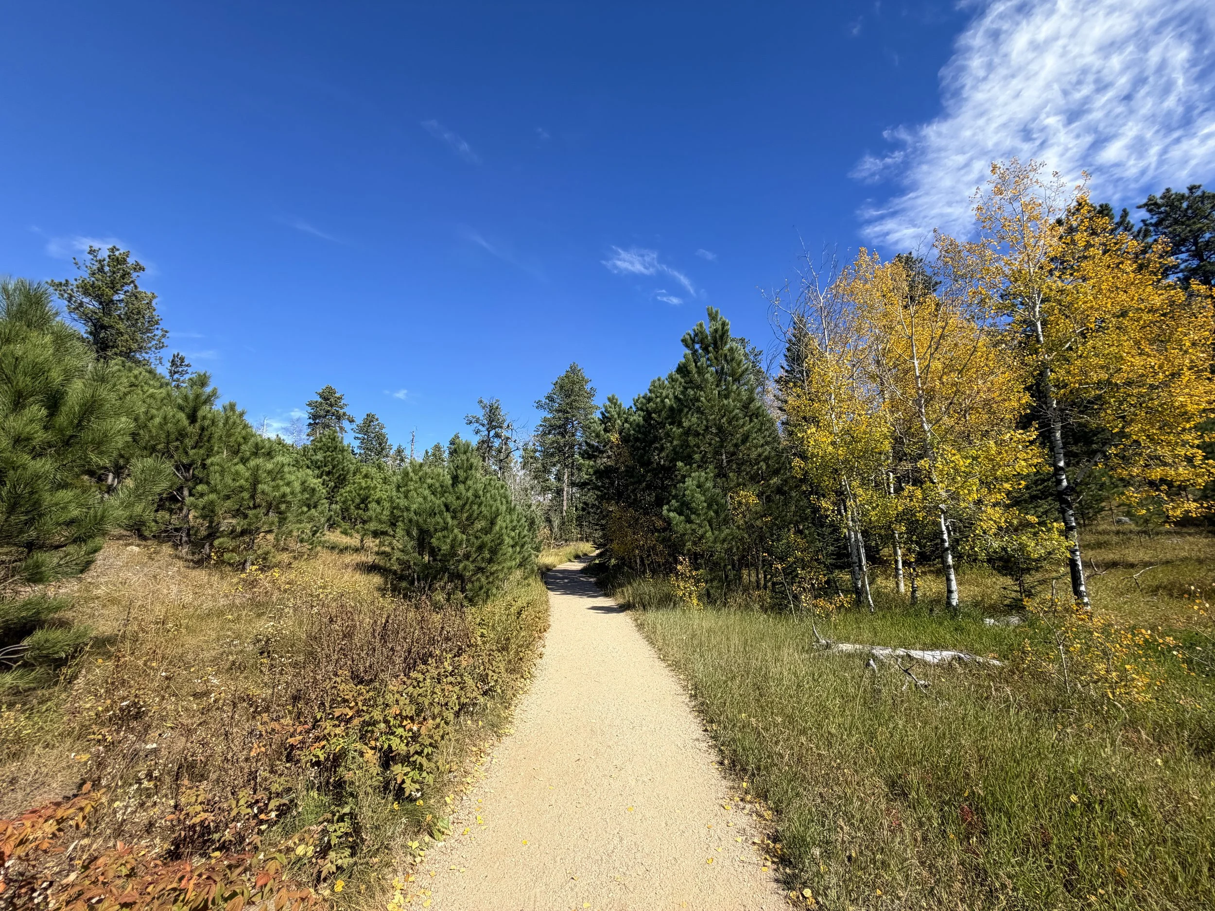 Black Elk Peak Trail Custer State Park Black Hills South Dakota