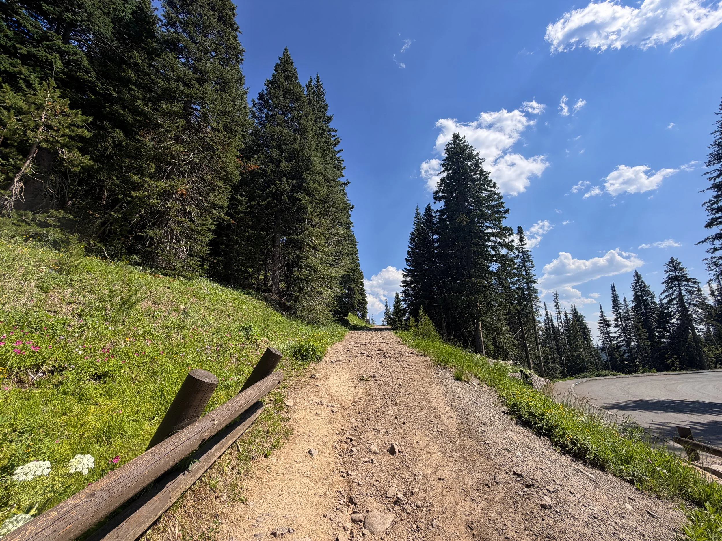 Mt. Washburn Trail Dunraven Pass Yellowstone National Park Wyoming