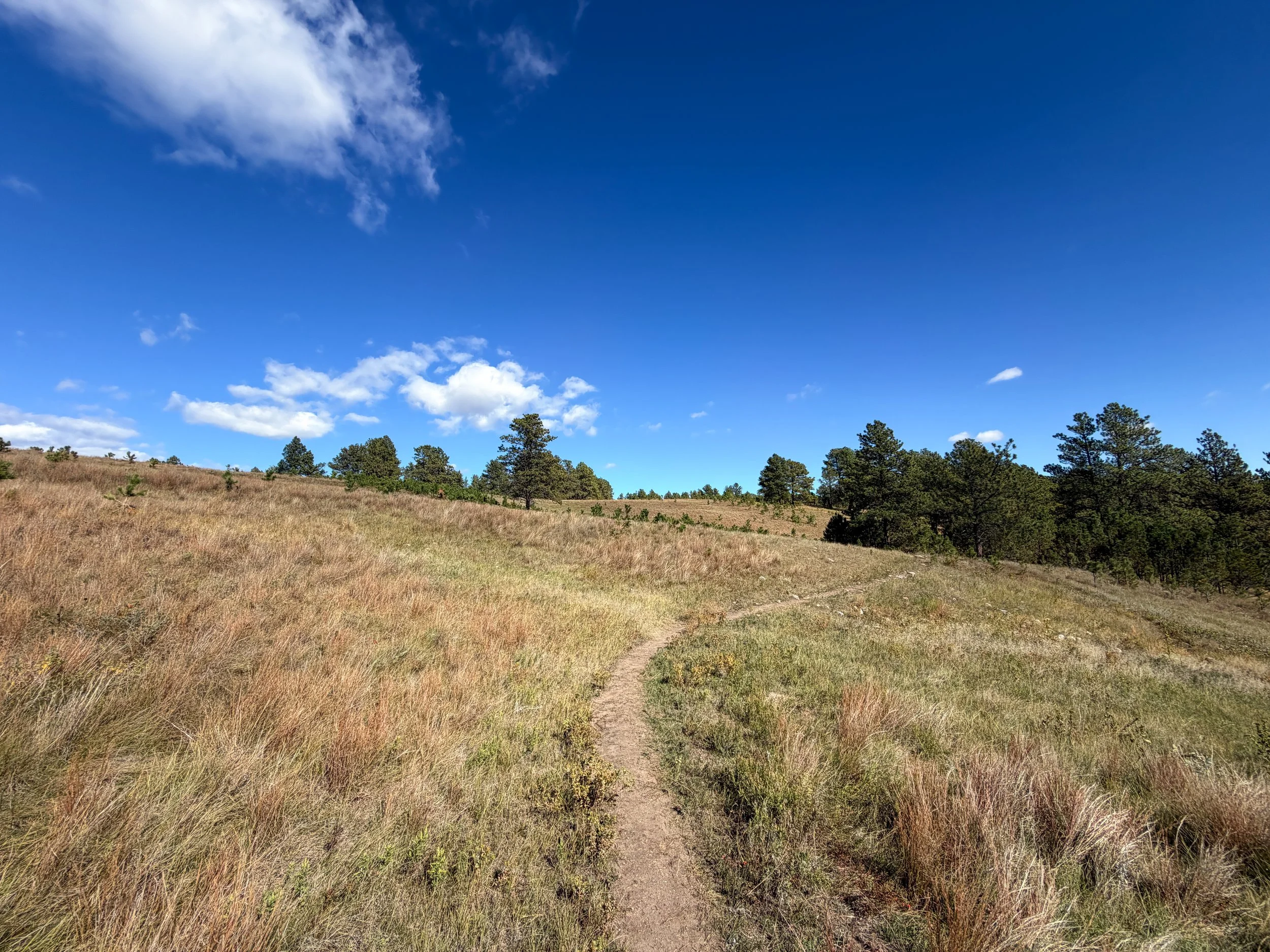 Lookout Point Loop Trail Wind Cave National Park South Dakota