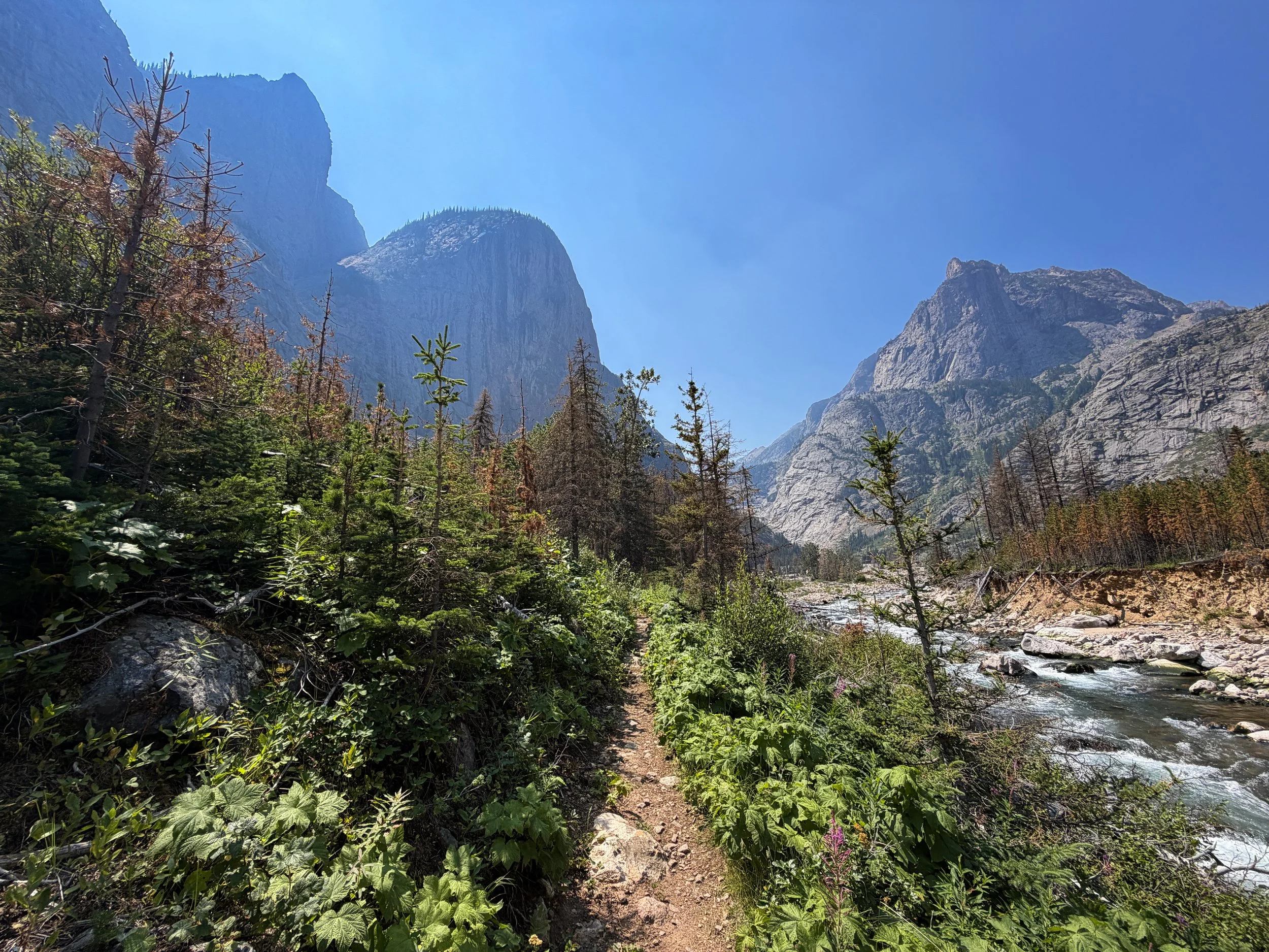 East Rosebud Trail Beaten Path Beartooth Mountains Montana