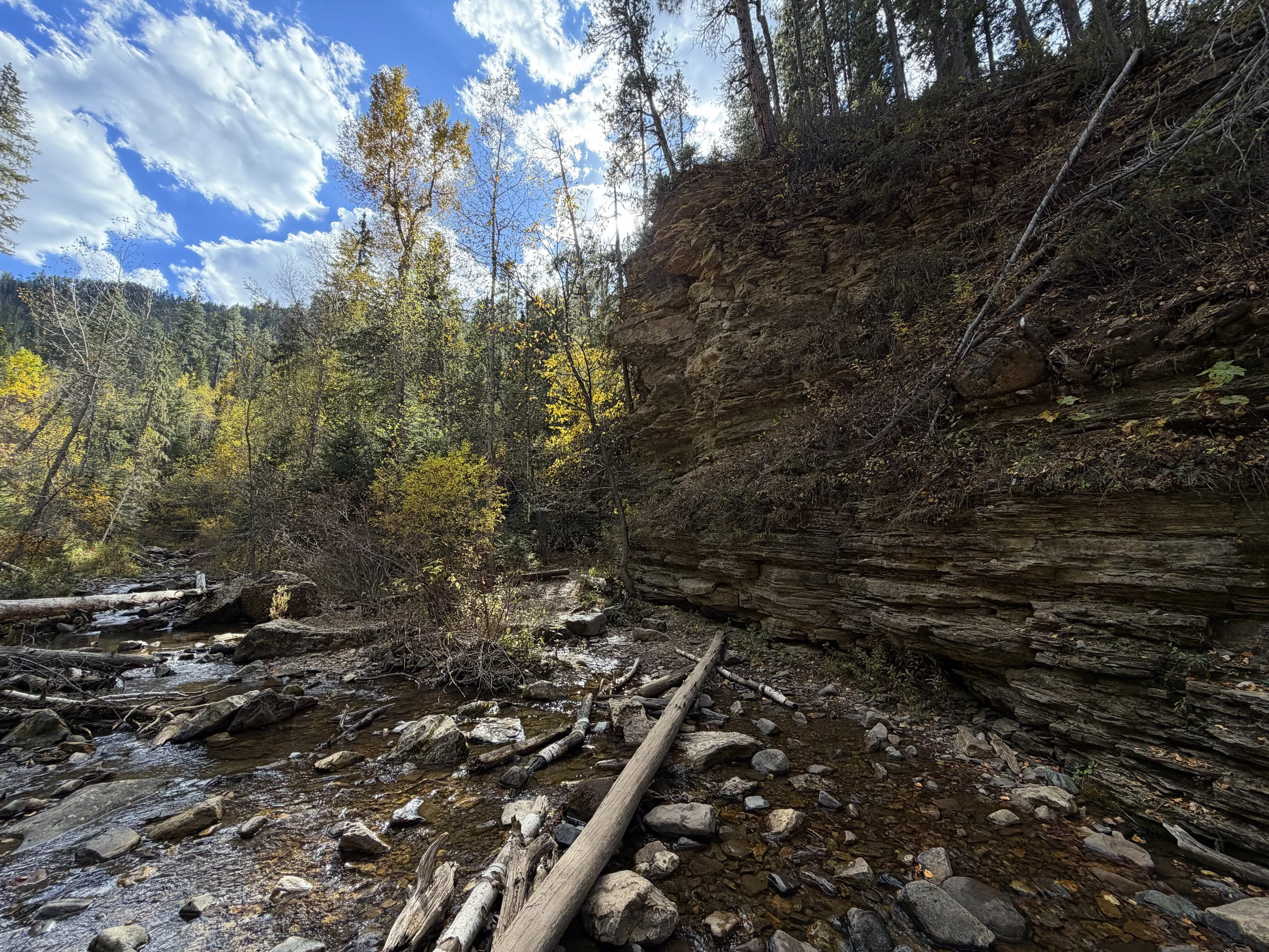 Devils Bathtub Trail Spearfish Canyon Black Hills South Dakota